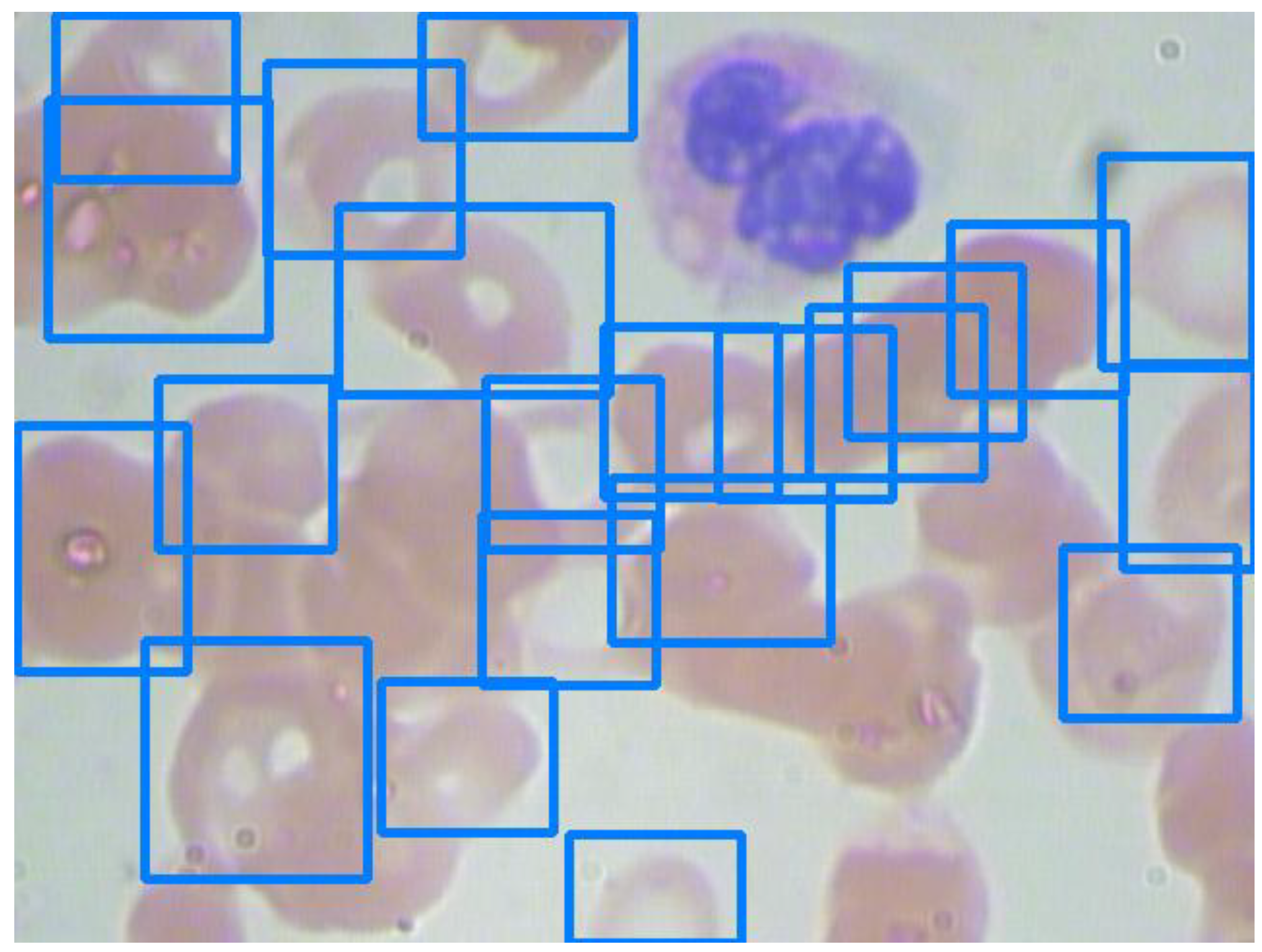 Applsci 12 08140 g008 550