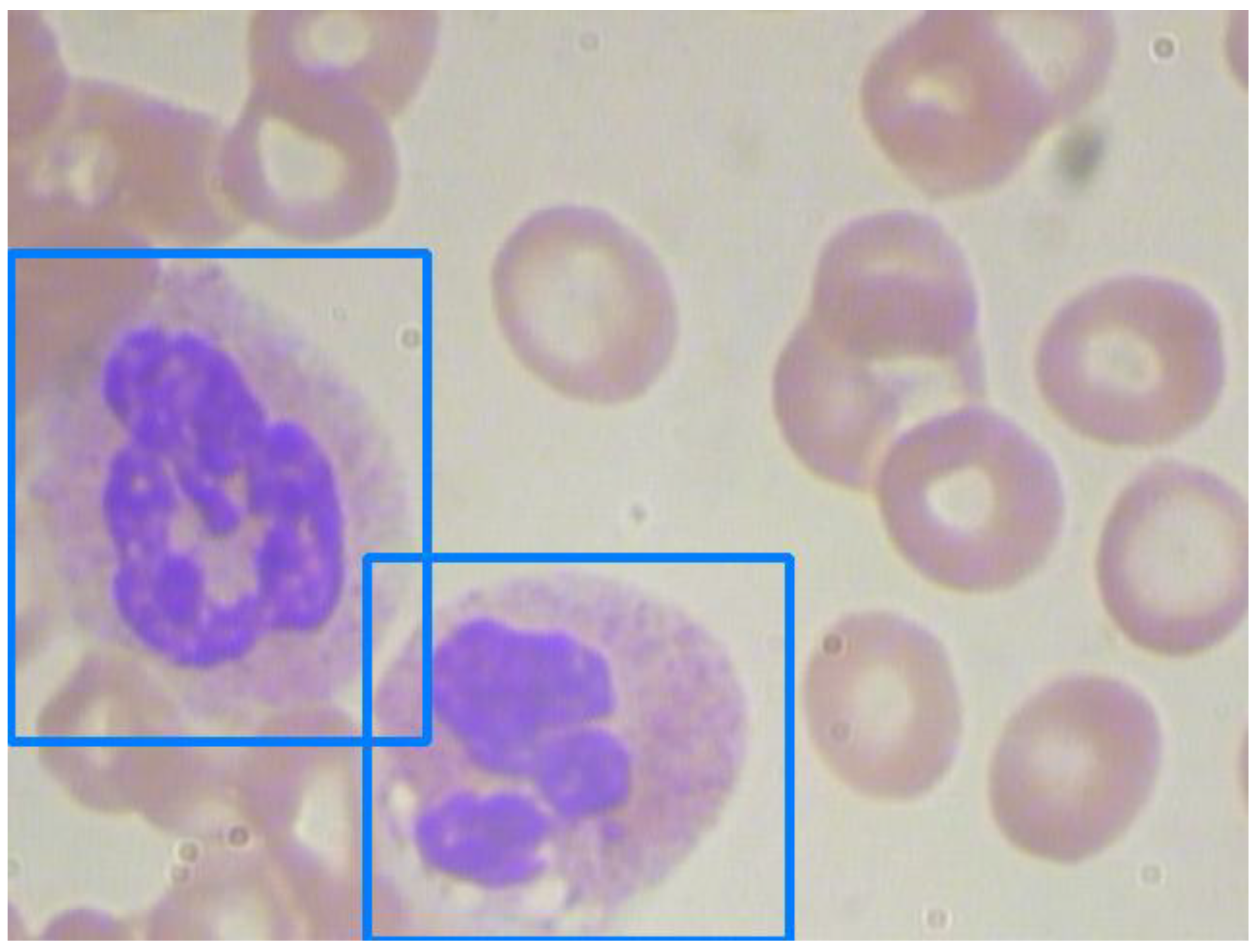 Applsci 12 08140 g009 550