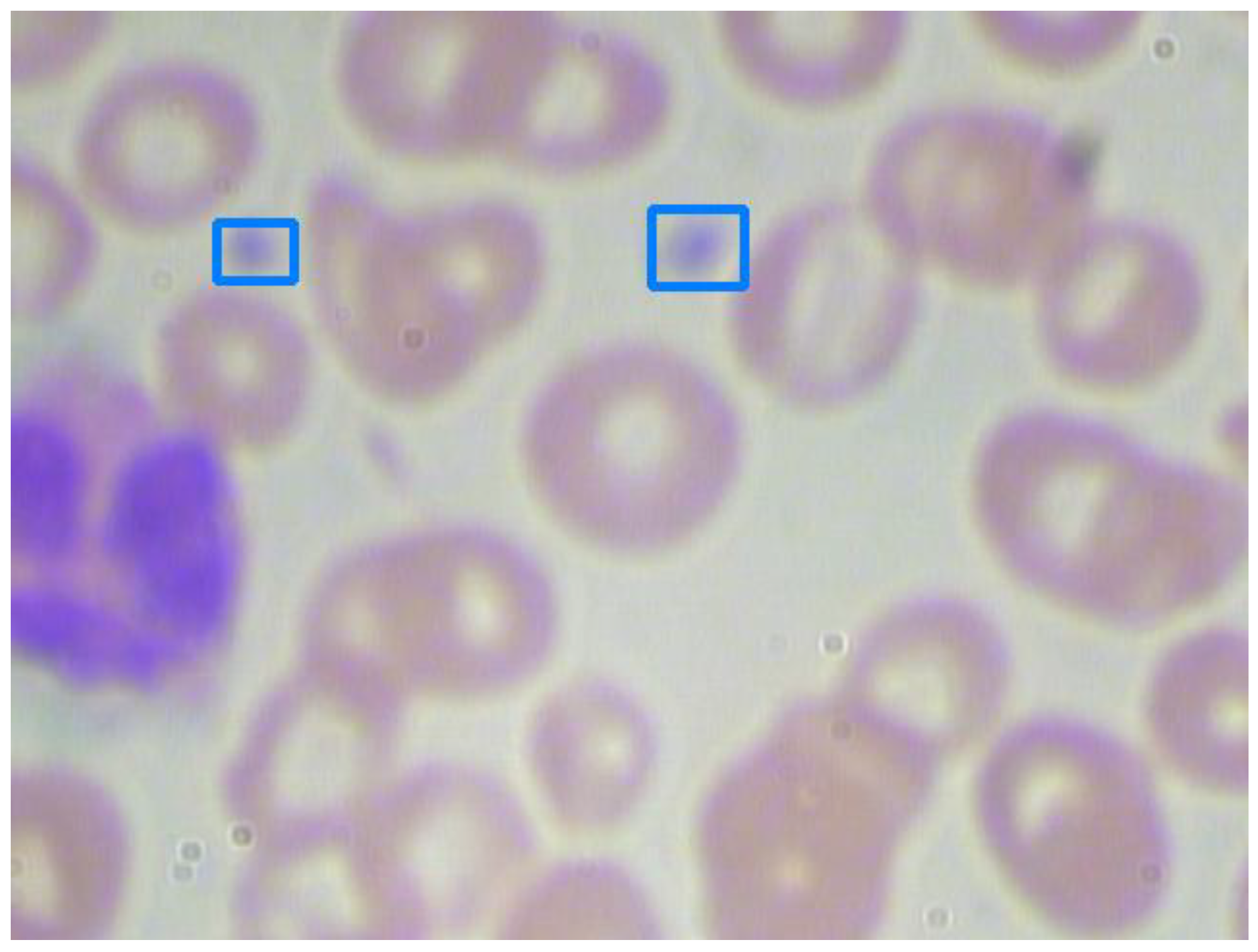 Applsci 12 08140 g010 550