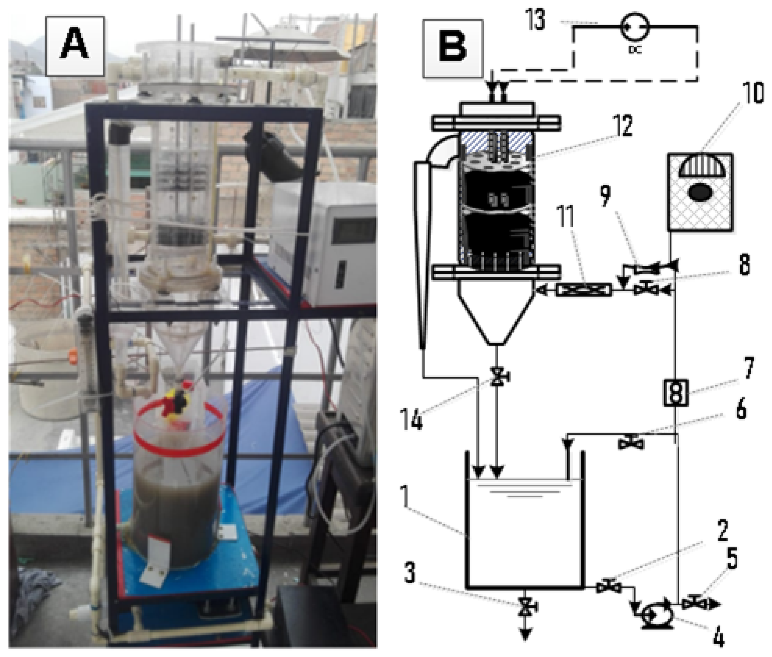 Applsci 12 08158 g001 550