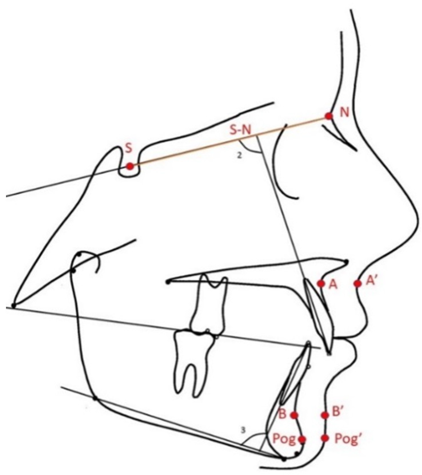 Applsci 12 08170 g001 550