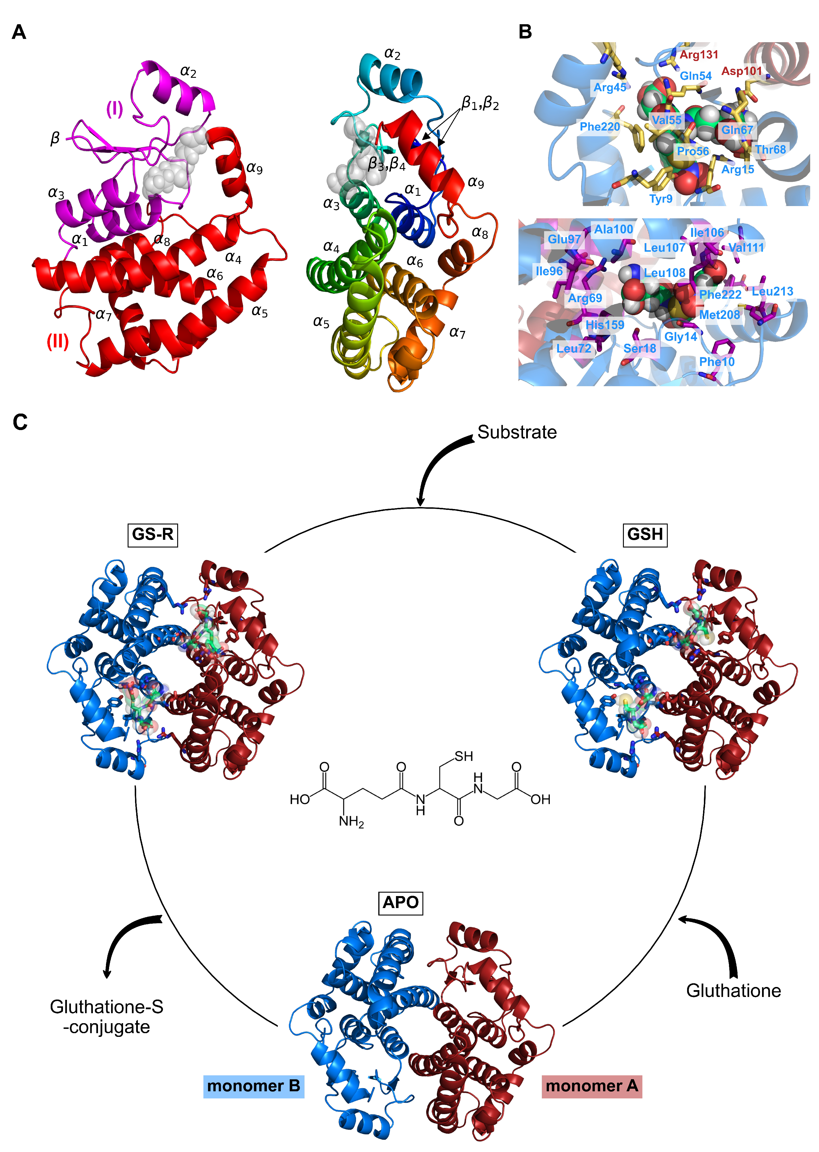 Applsci 12 08196 g001 550