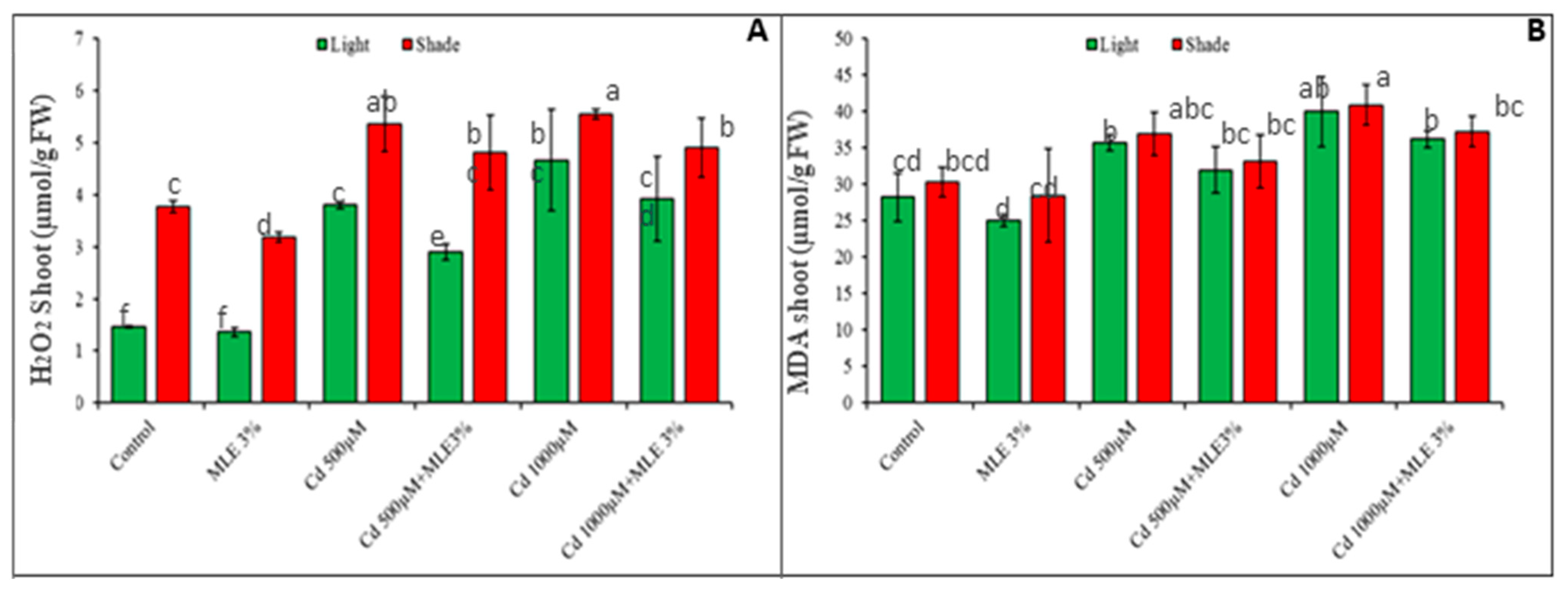 Applsci 12 08199 g004 Applsci 12 08199 g004