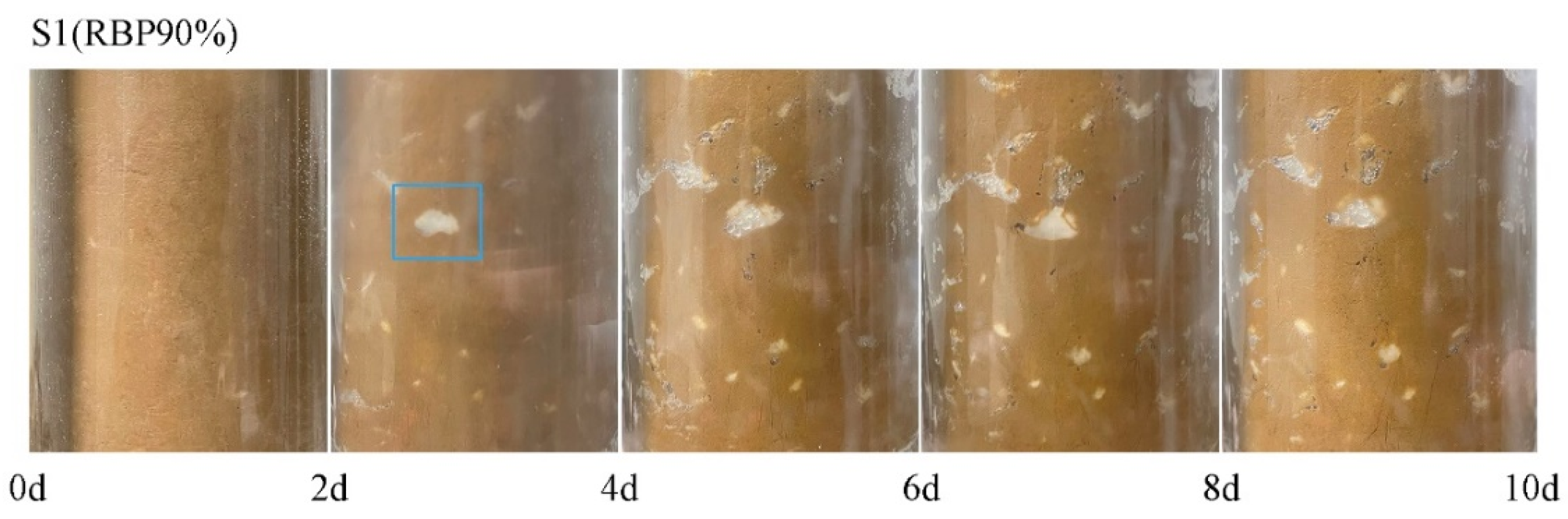 Applsci 12 08224 g005 550