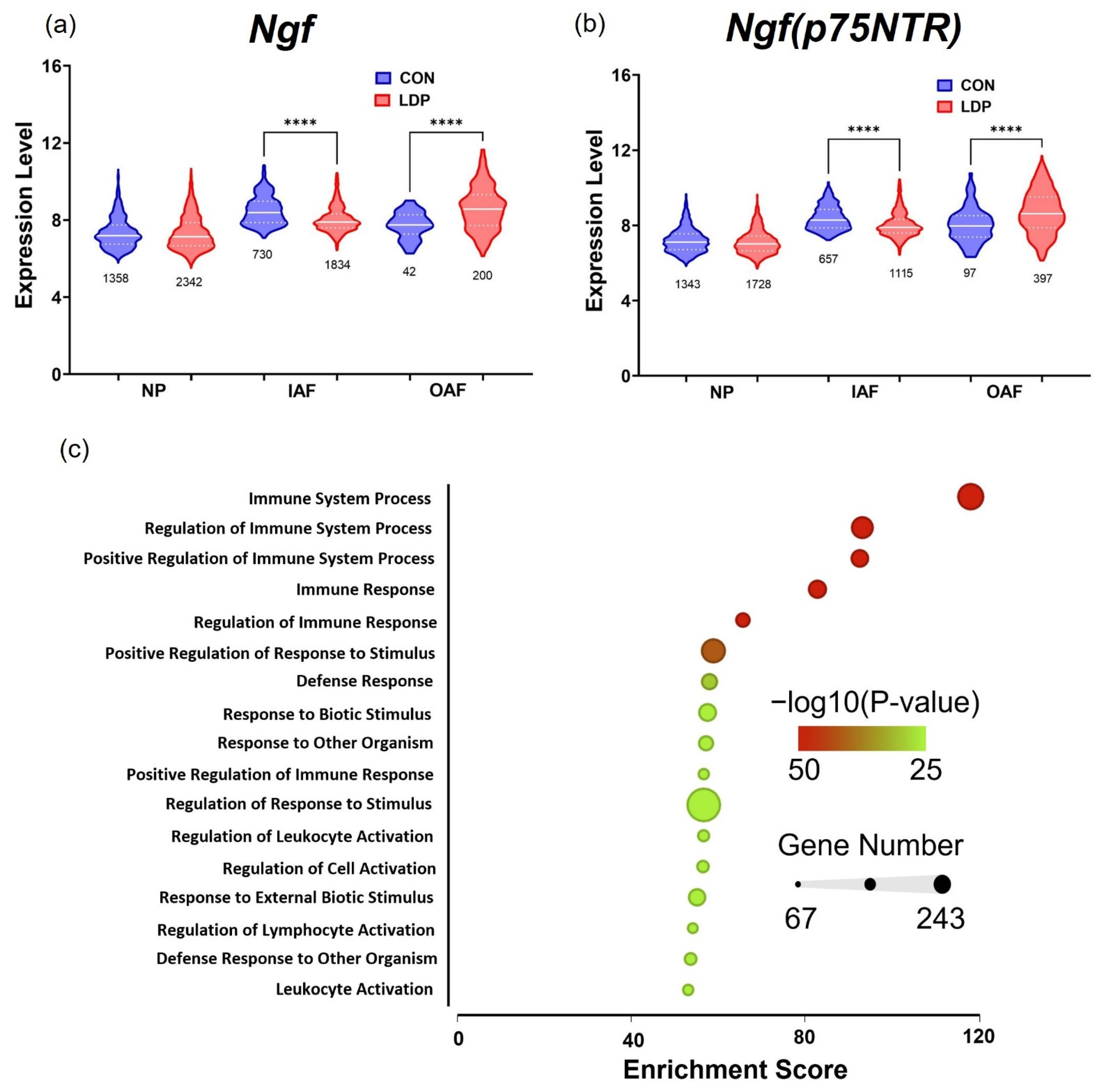 Applsci 12 08244 g006 550