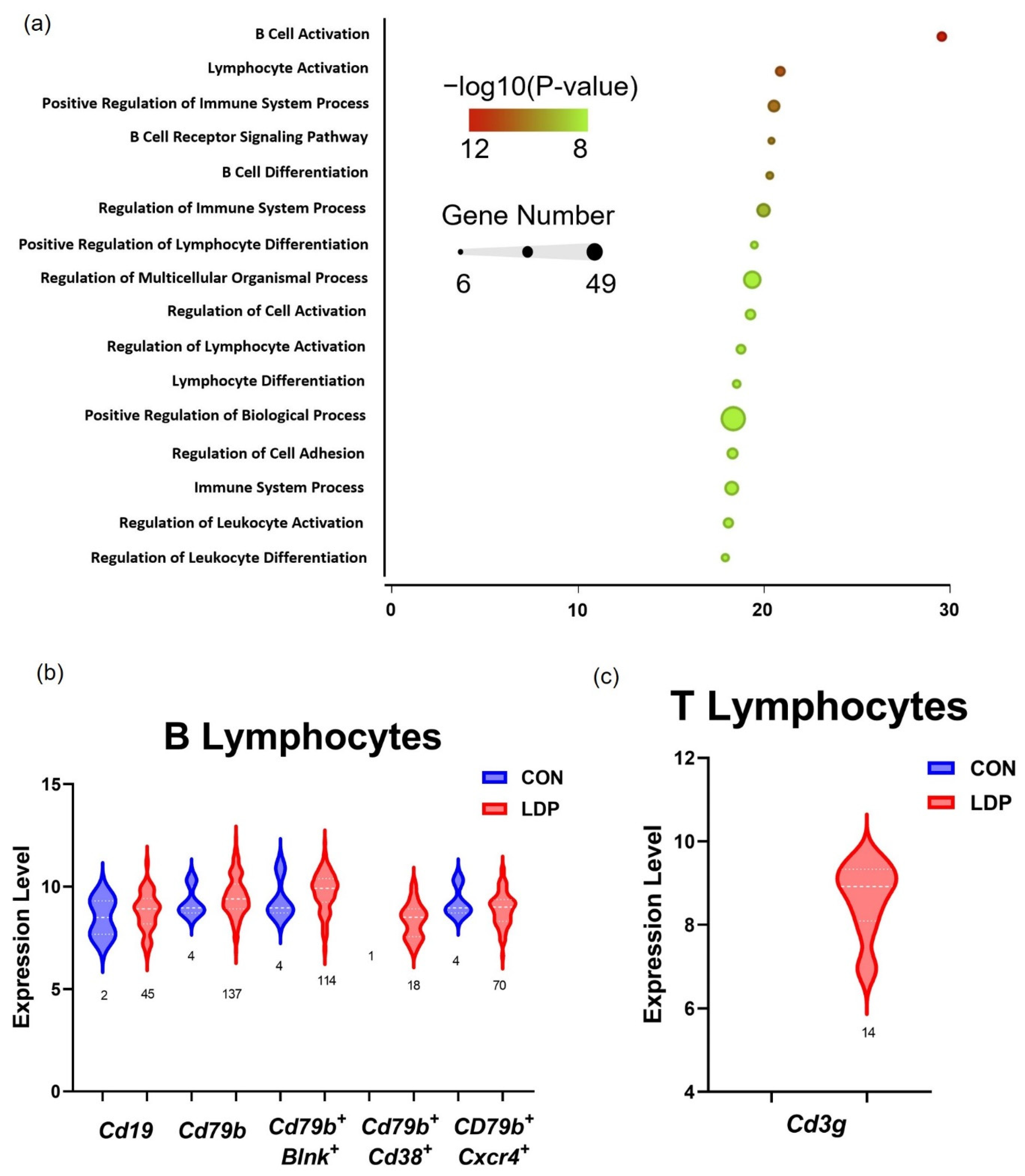 Applsci 12 08244 g008 550