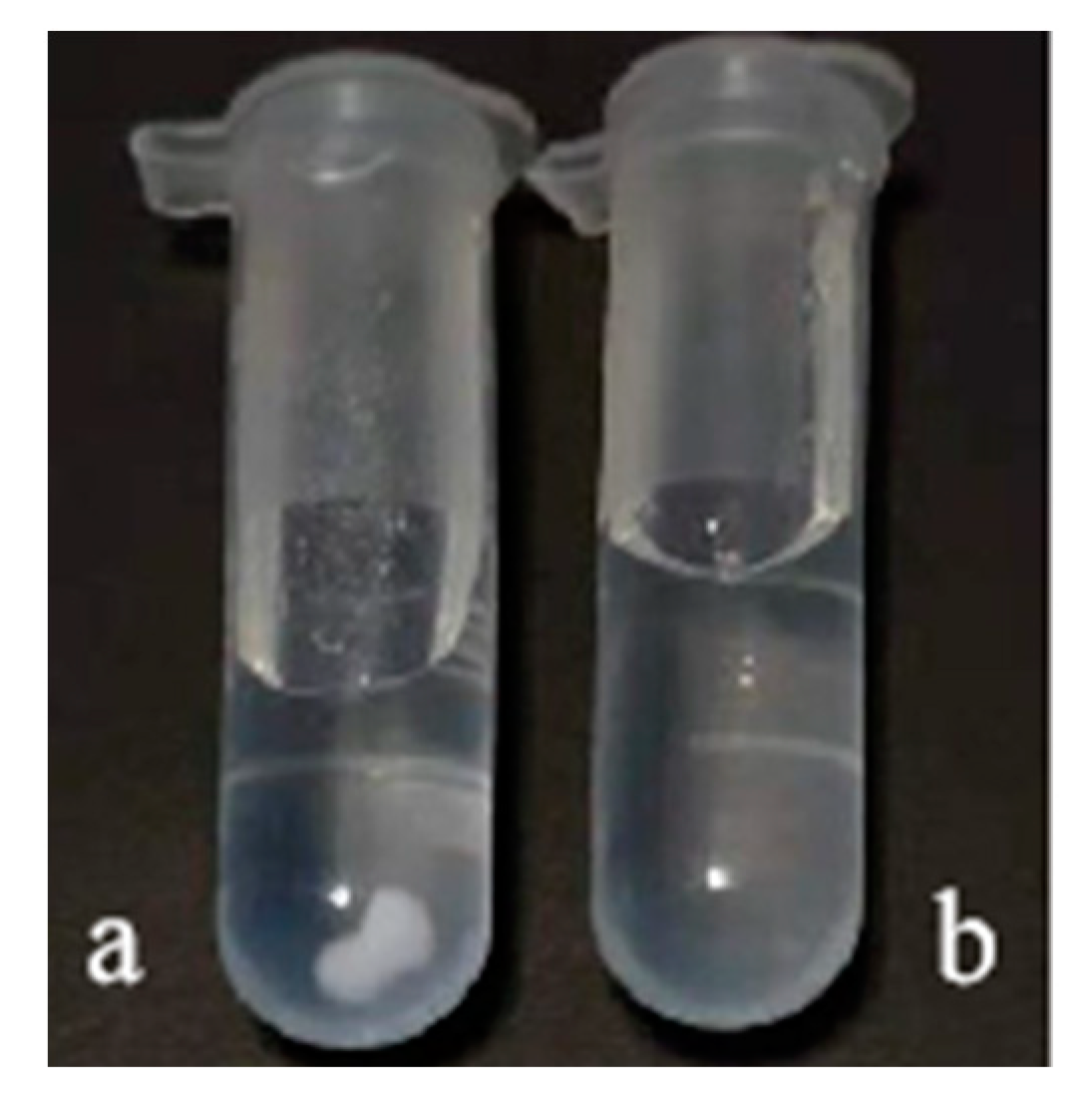 Applsci 12 08253 g002 Applsci 12 08253 g002