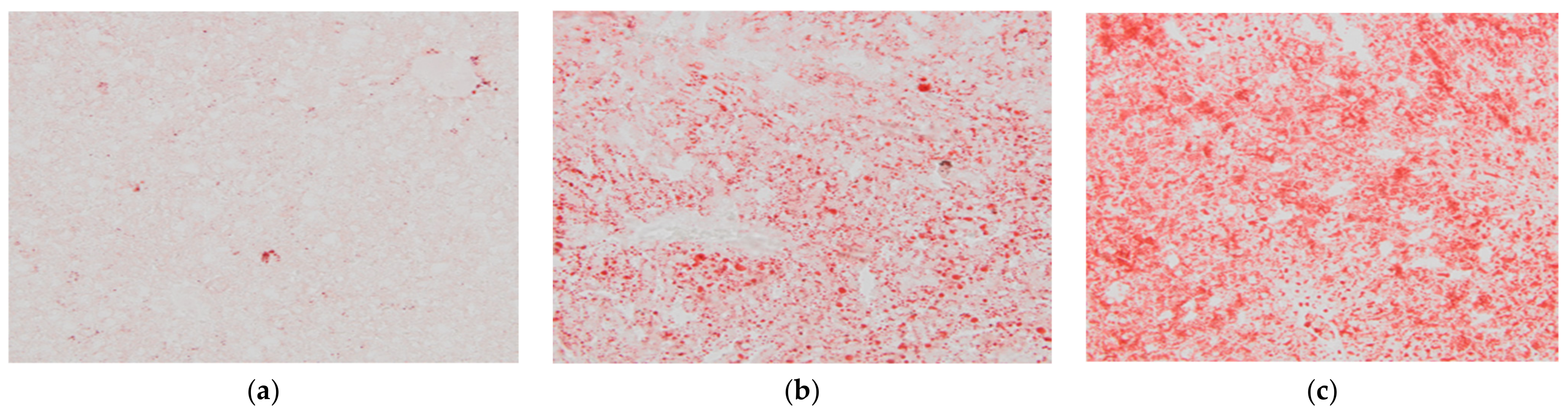 Applsci 12 08266 g005 Applsci 12 08266 g005