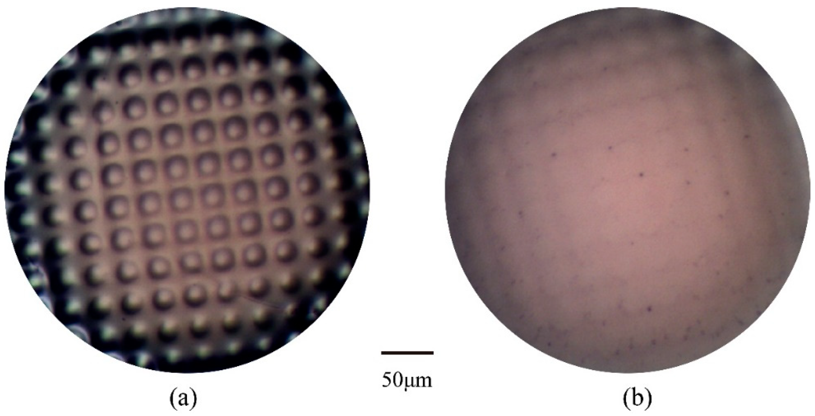 Applsci 12 08282 g007