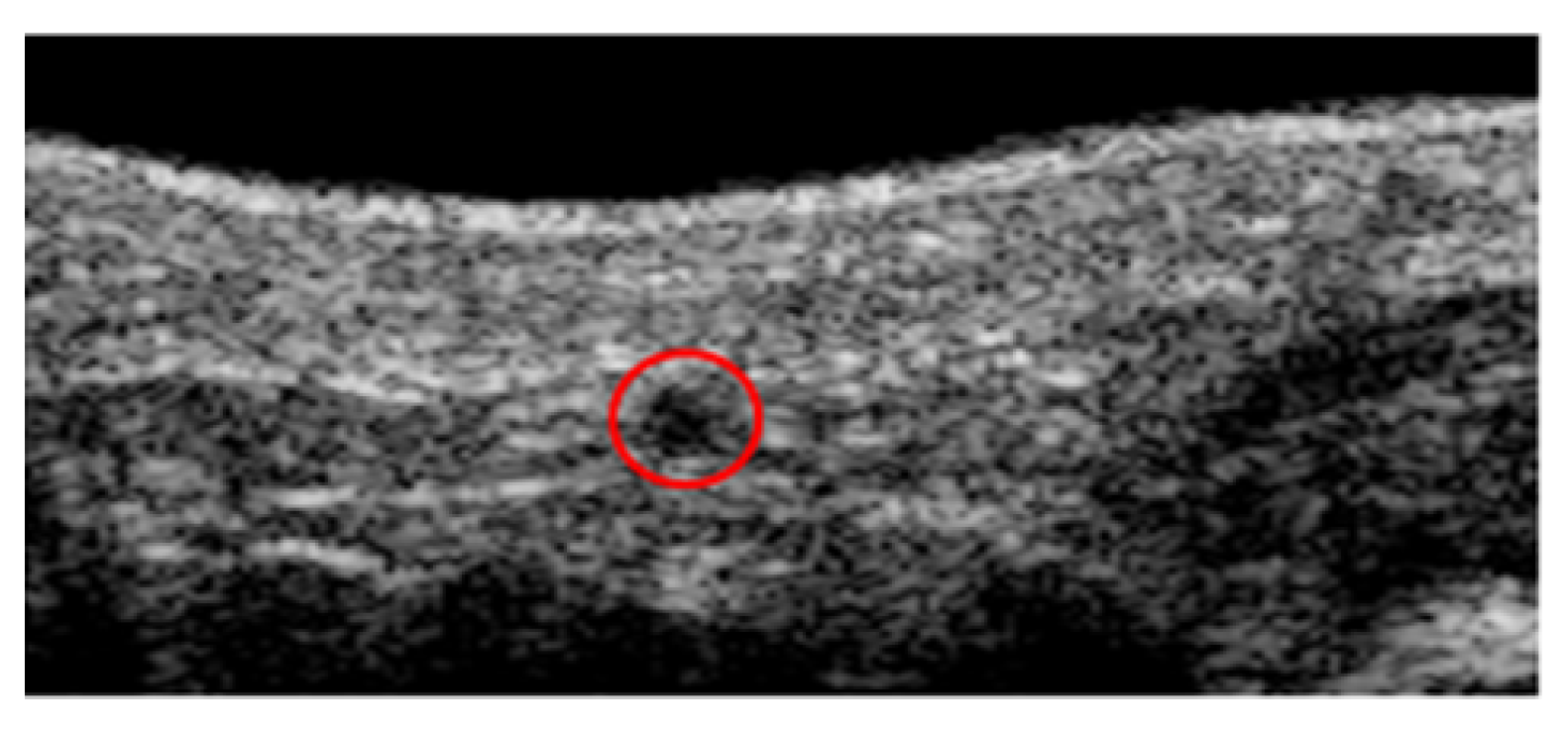 Applsci 12 08285 g002 Applsci 12 08285 g002