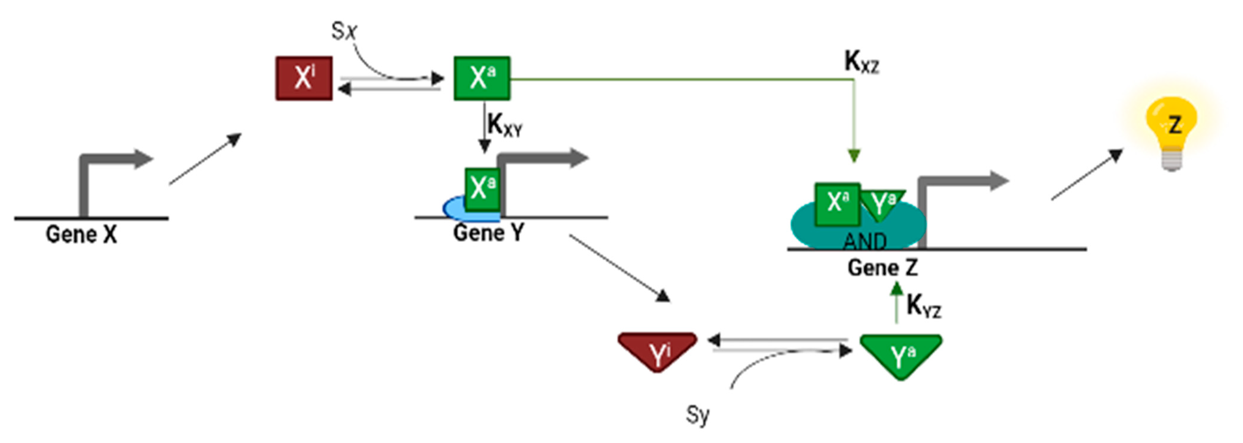 Applsci 12 08292 g002