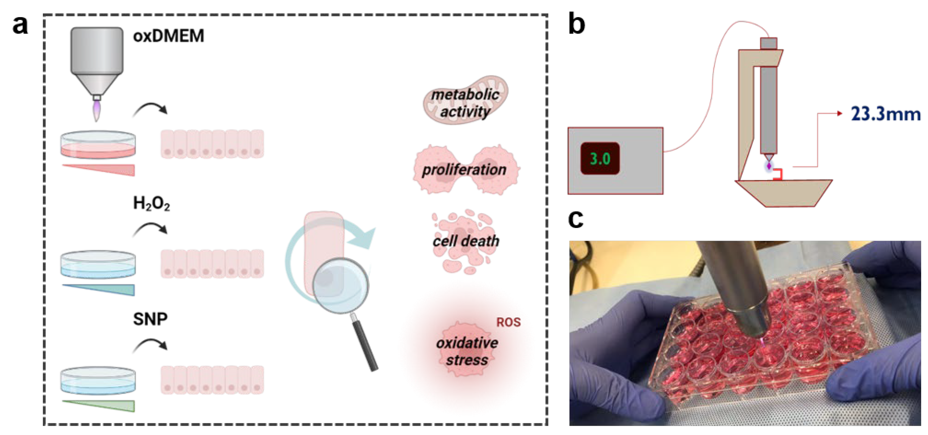 Applsci 12 08311 g001