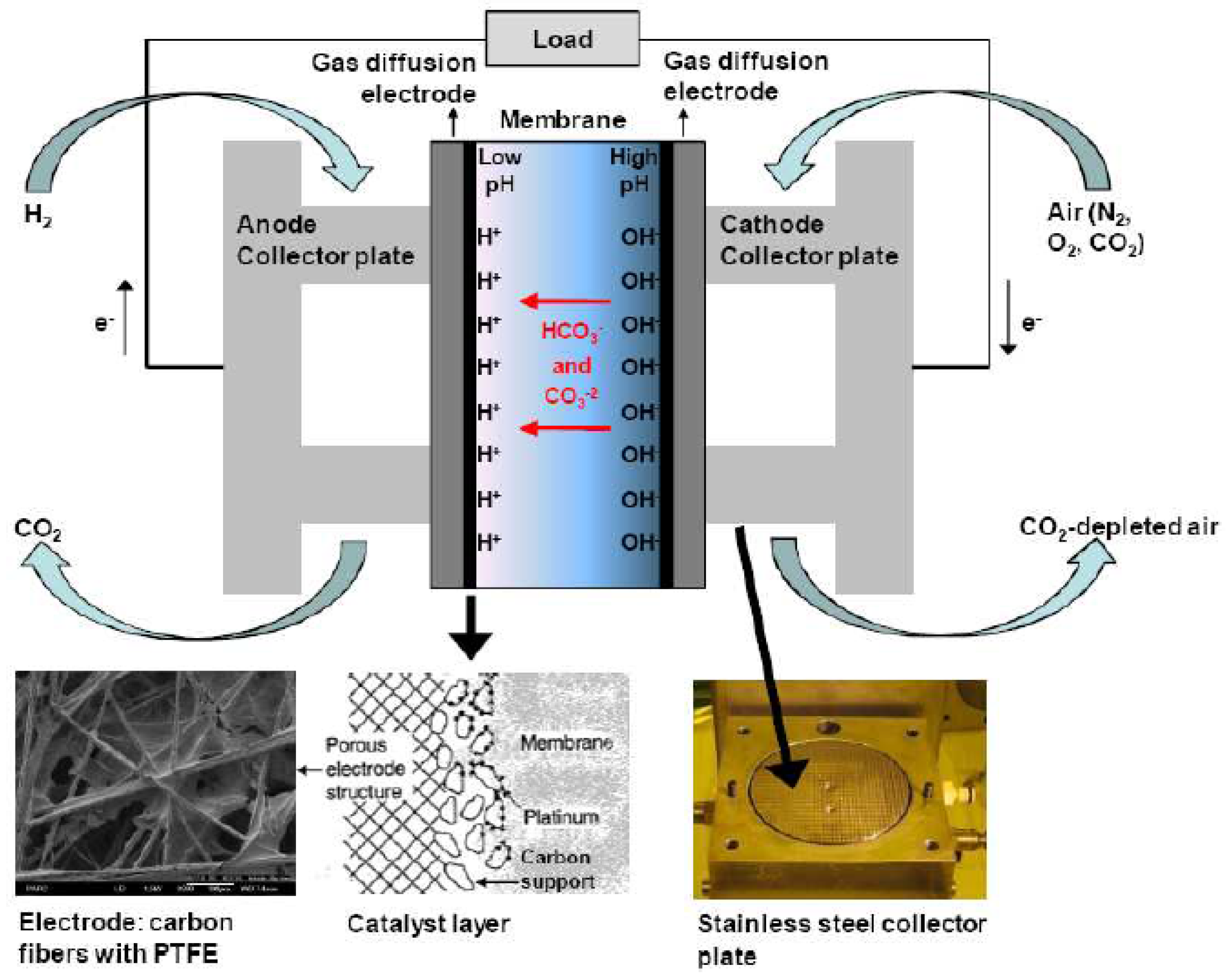 Applsci 12 08321 g008