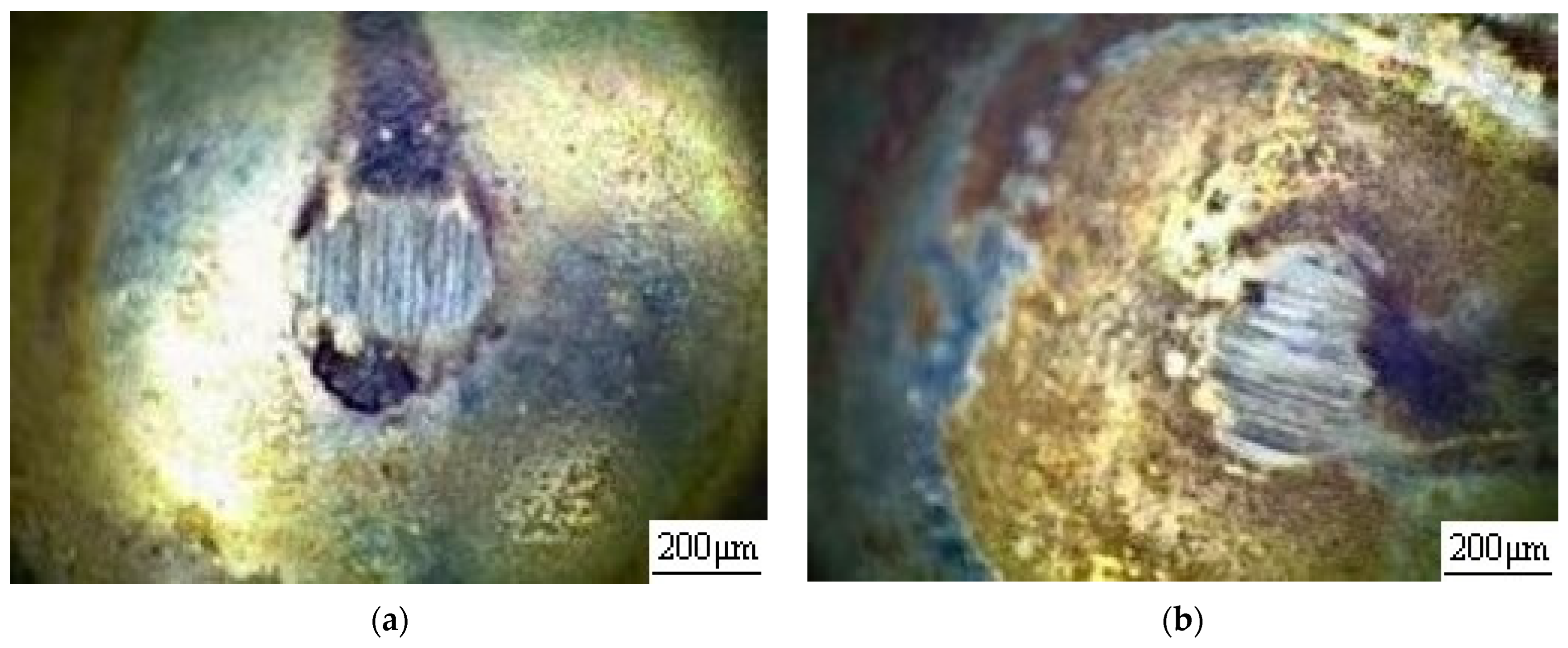 Applsci 12 08329 g006a