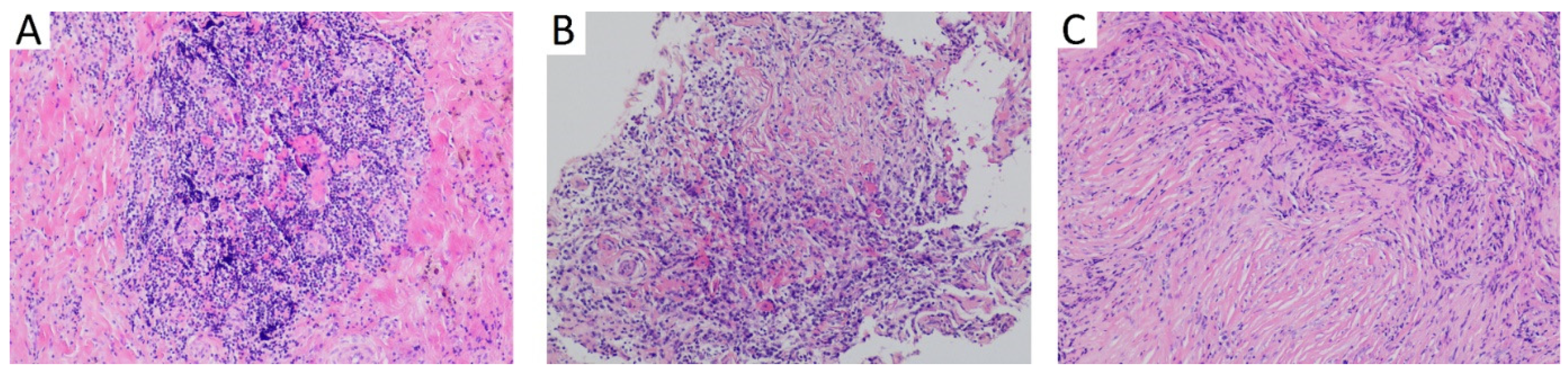 Applsci 12 08353 g003 550