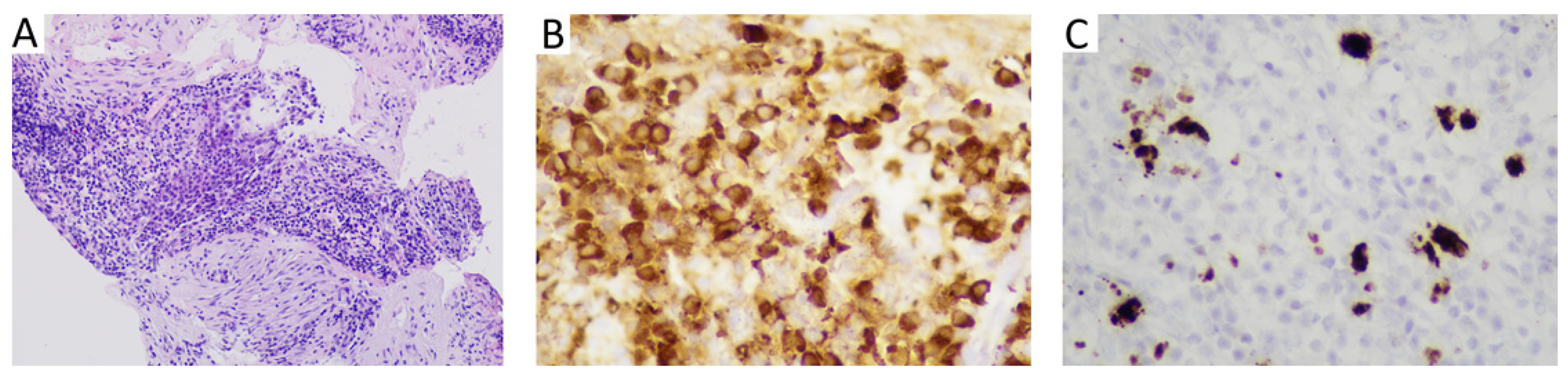 Applsci 12 08353 g005 550