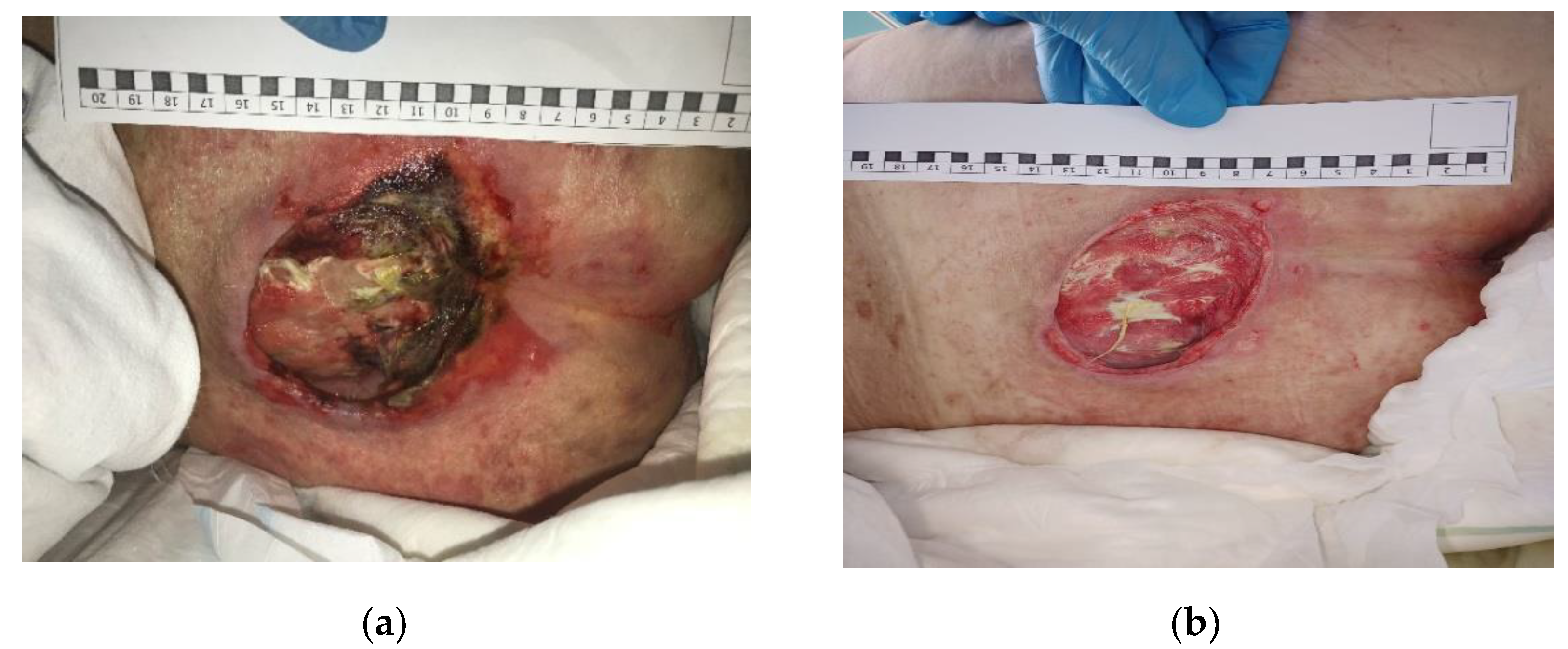 Applsci 12 08354 g006