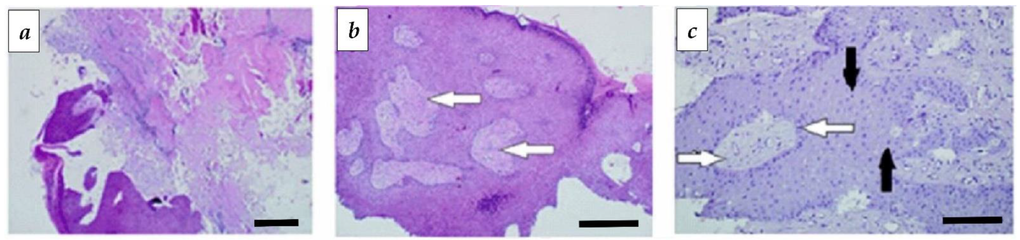 Applsci 12 08354 g007