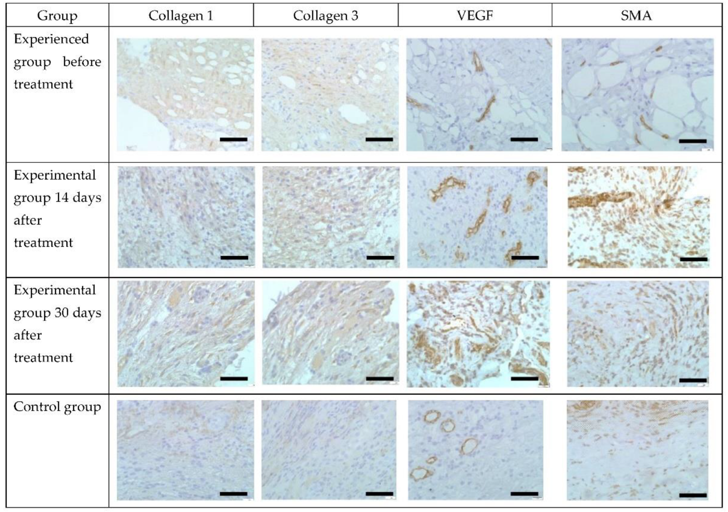 Applsci 12 08354 g009