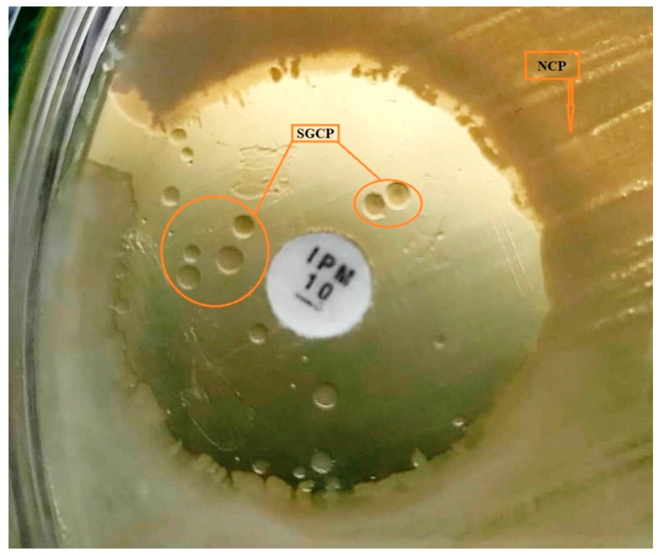 Applsci 12 08357 g001