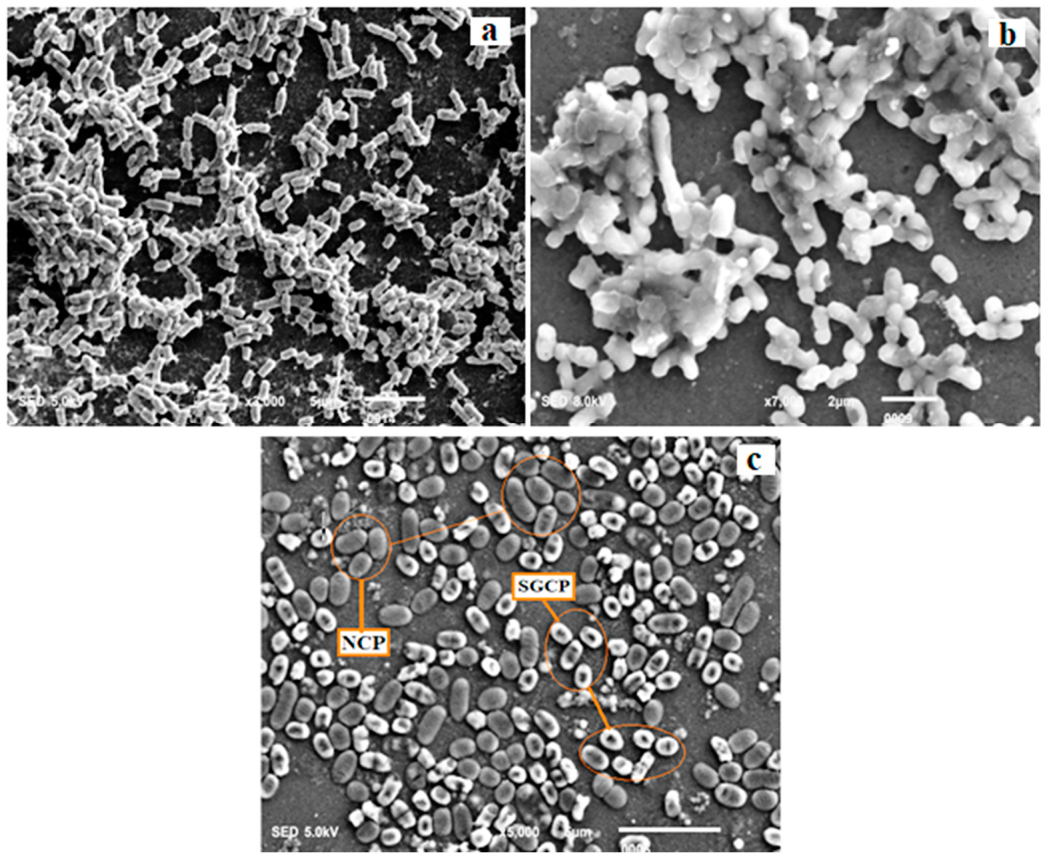 Applsci 12 08357 g002