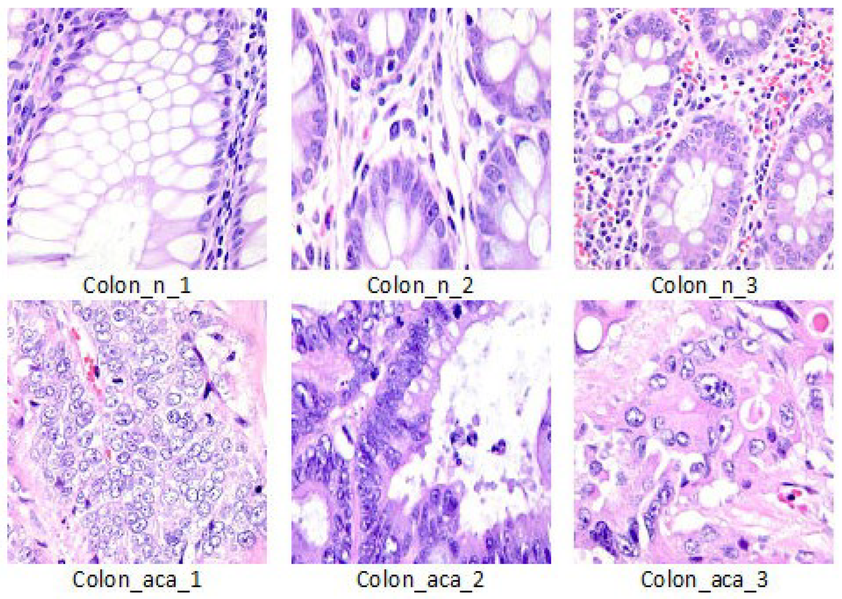 Applsci 12 08450 g001 550