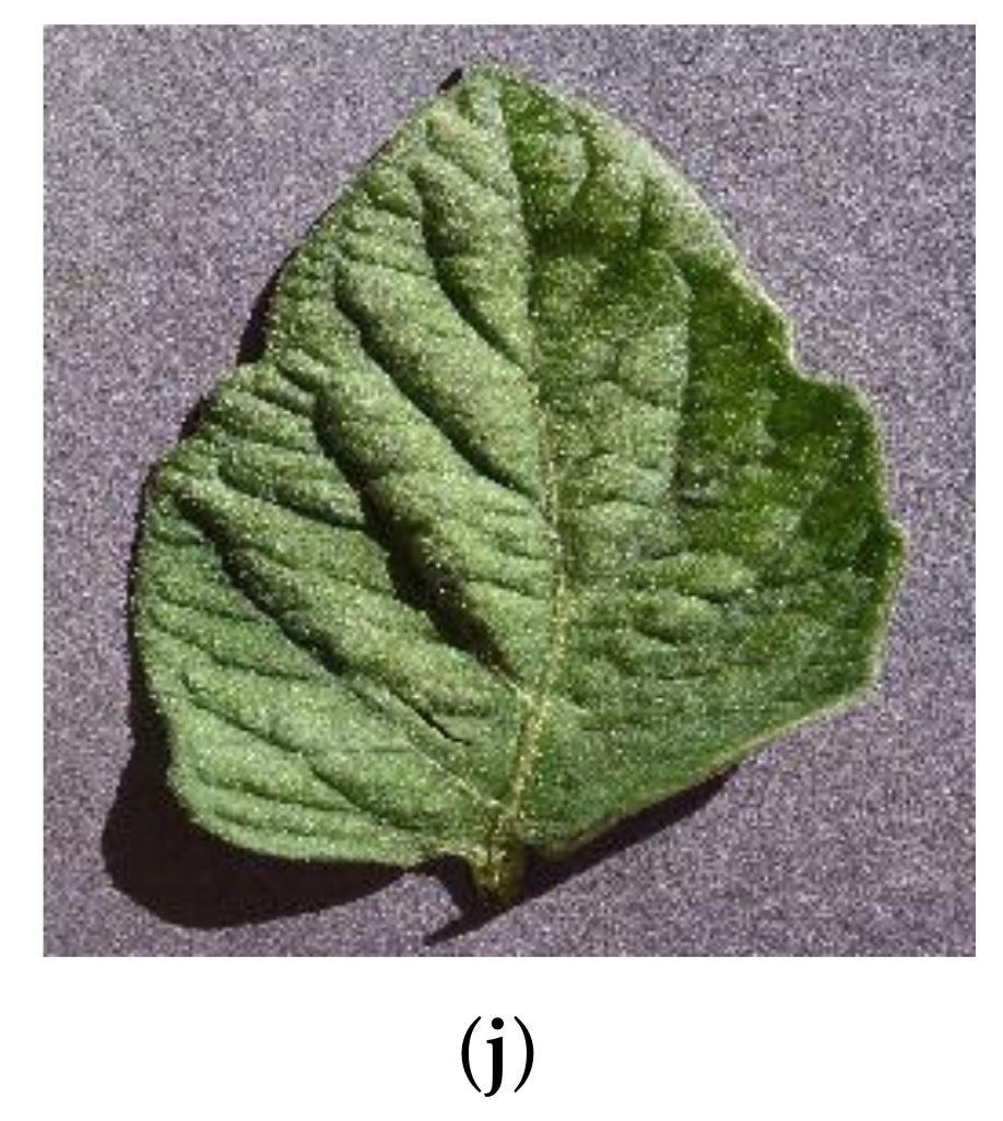 Applsci 12 08467 g002b