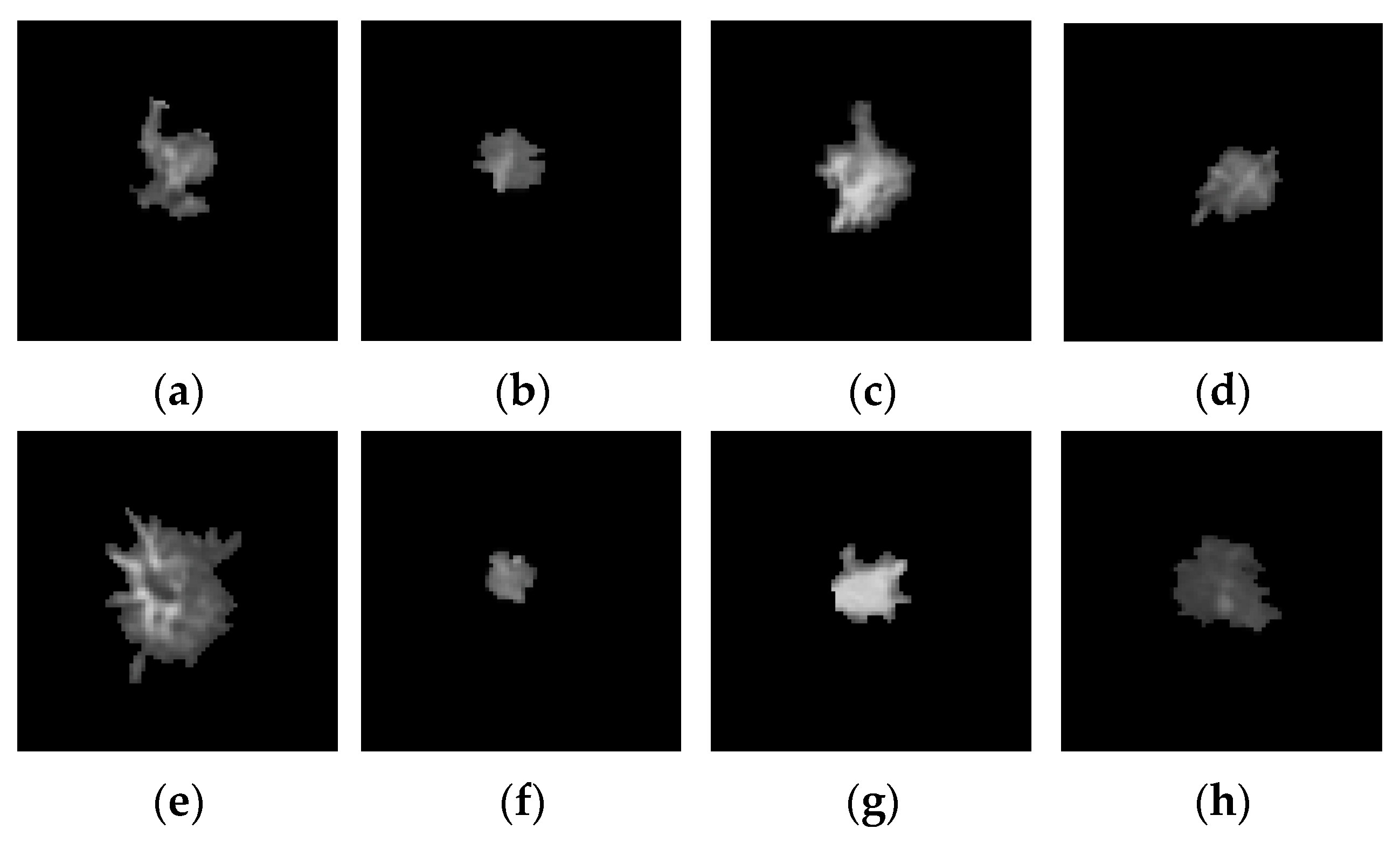 Applsci 12 08469 g001 Applsci 12 08469 g001