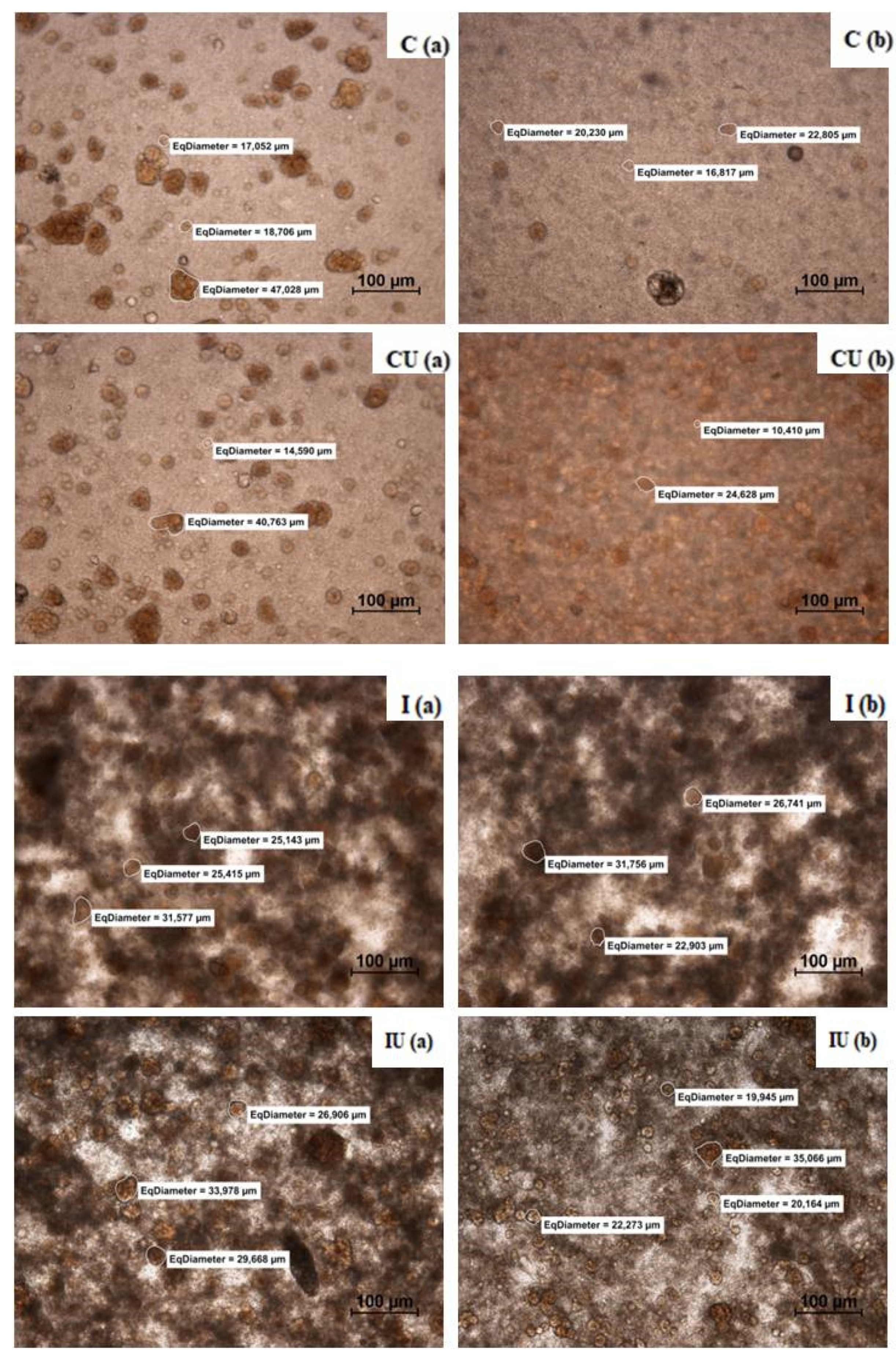 Applsci 12 08492 g005a 550