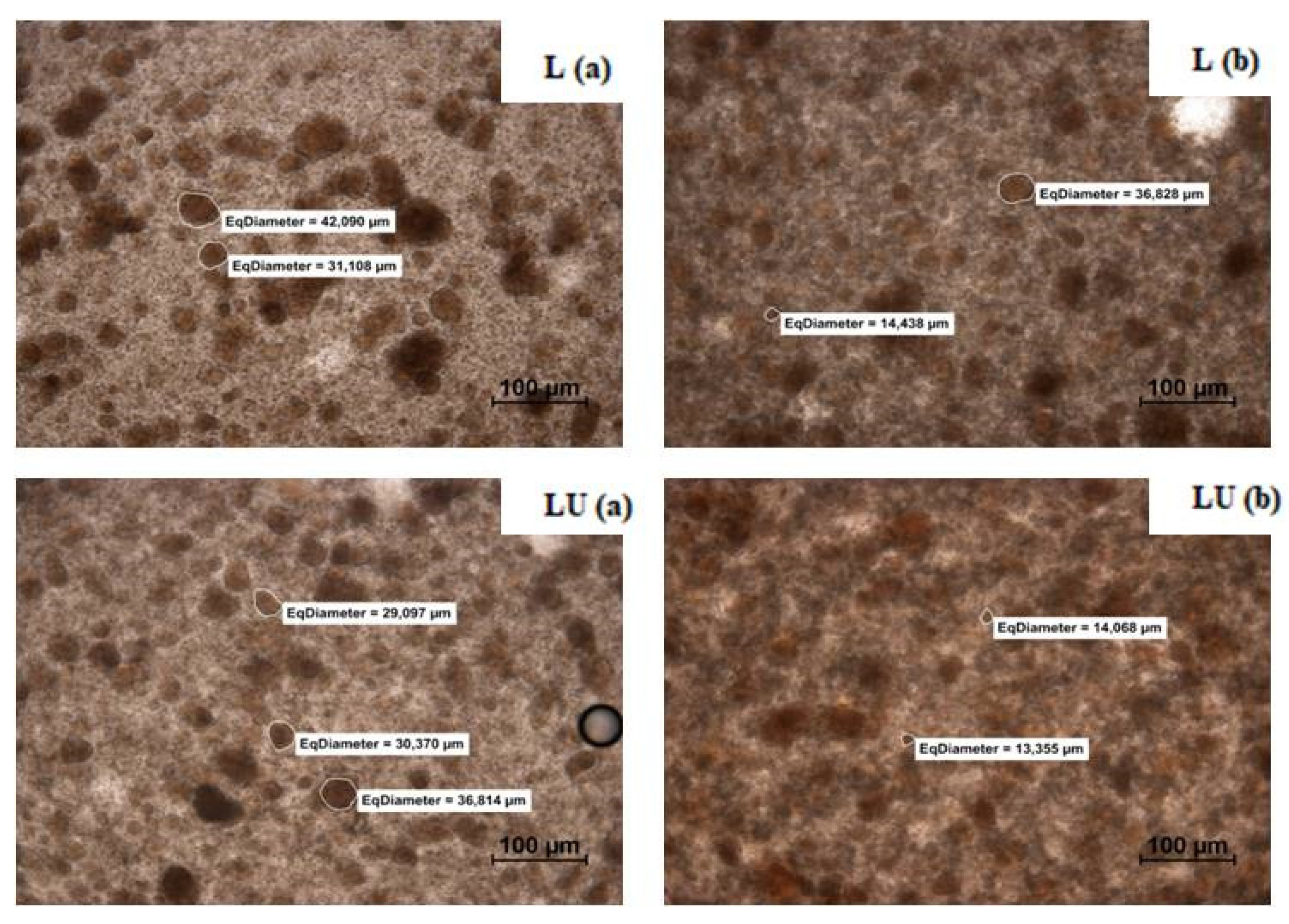 Applsci 12 08492 g005c 550