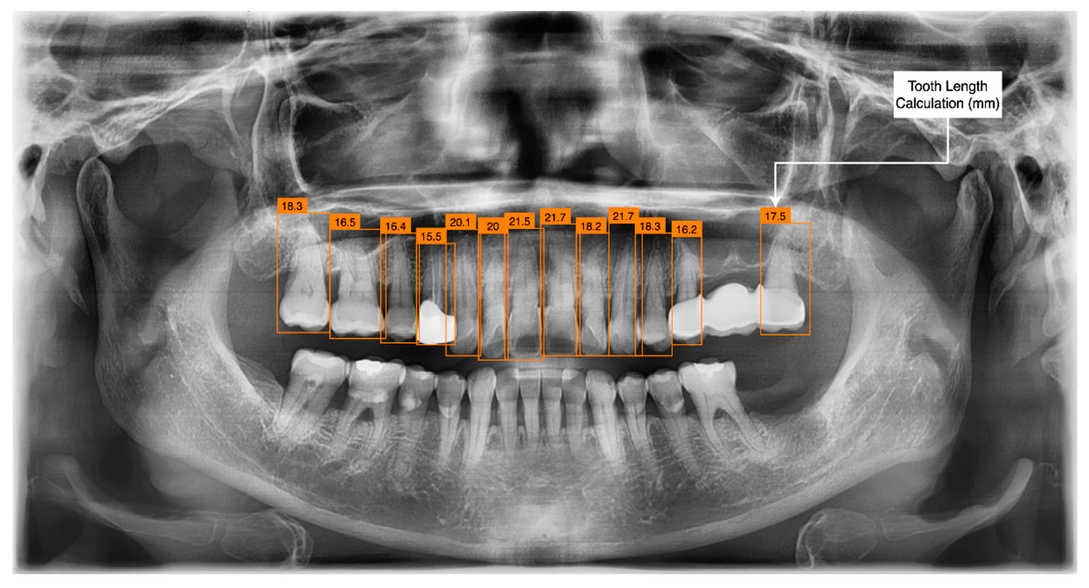 Applsci 12 08500 g008