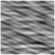 Applsci 12 08509 i013