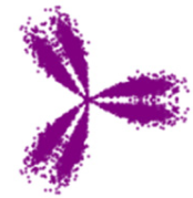 Applsci 12 08509 i031