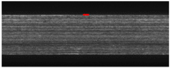 Applsci 12 08509 i041