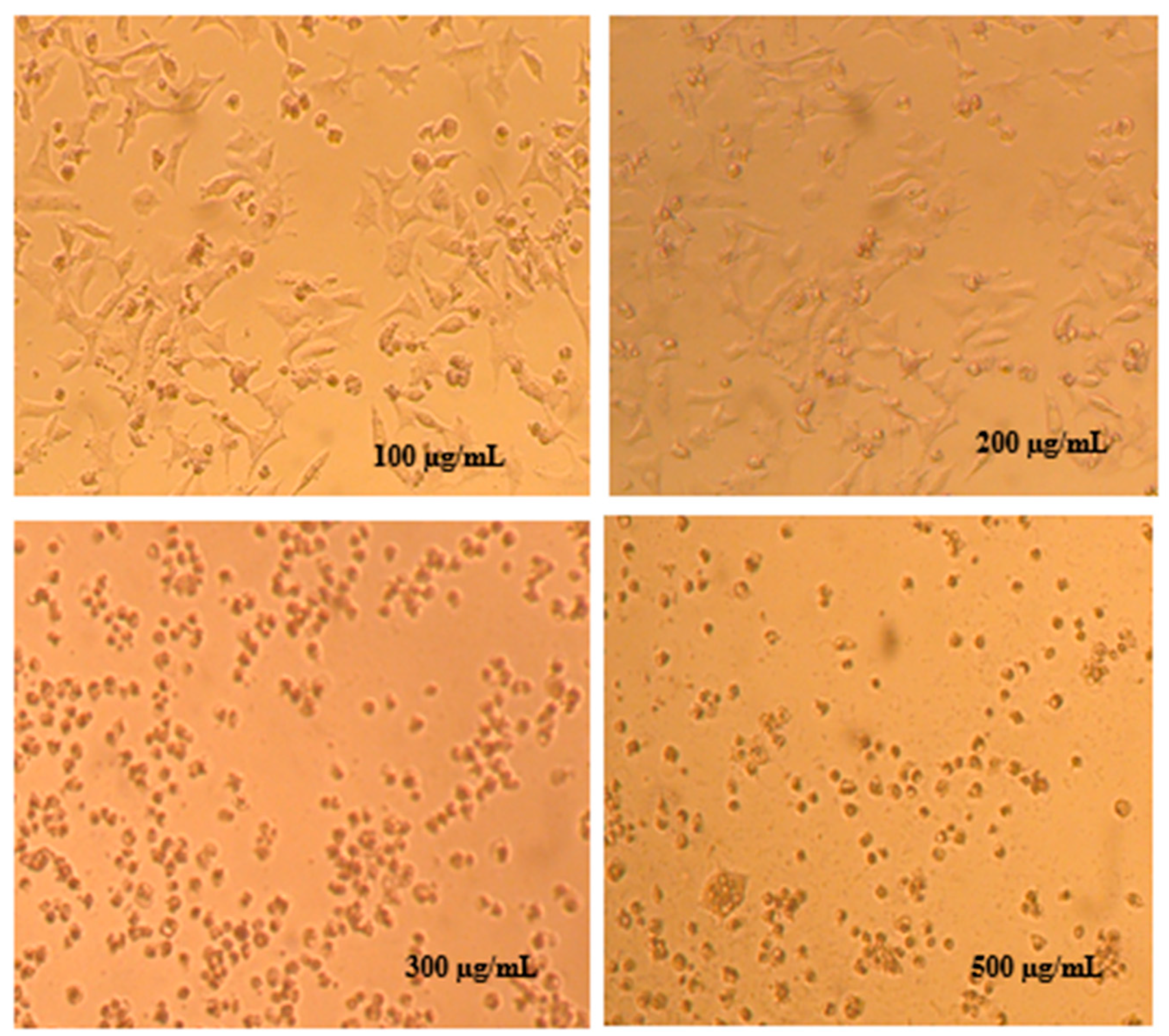 Applsci 12 08603 g005