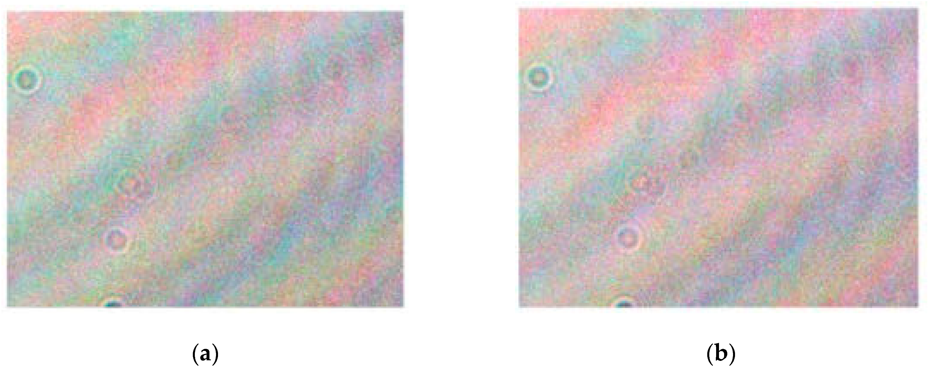 Applsci 12 08613 g003 Applsci 12 08613 g003