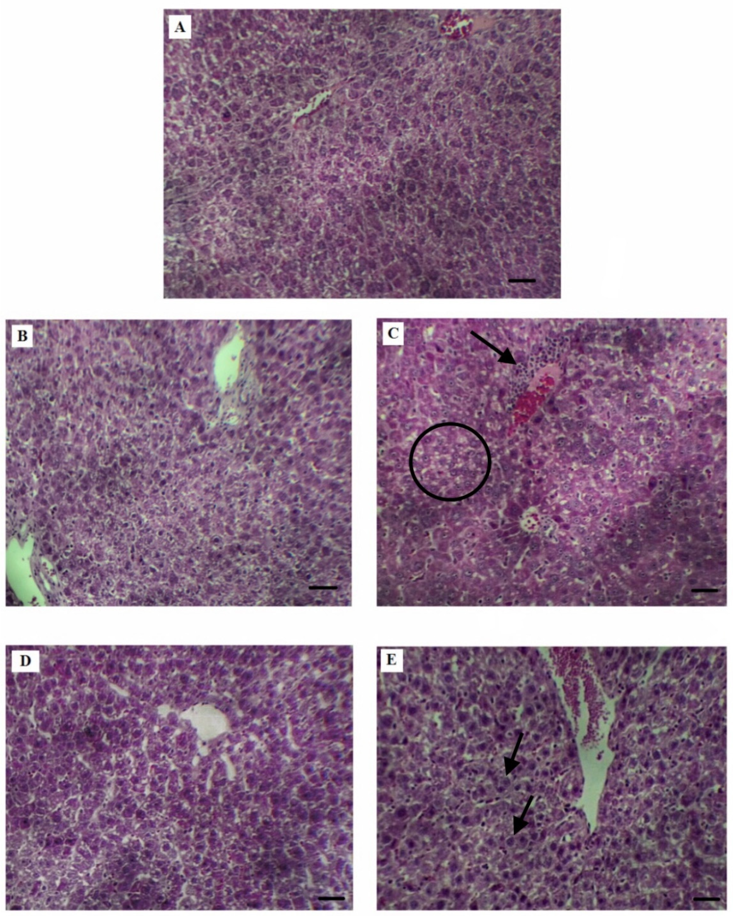 Applsci 12 08626 g001