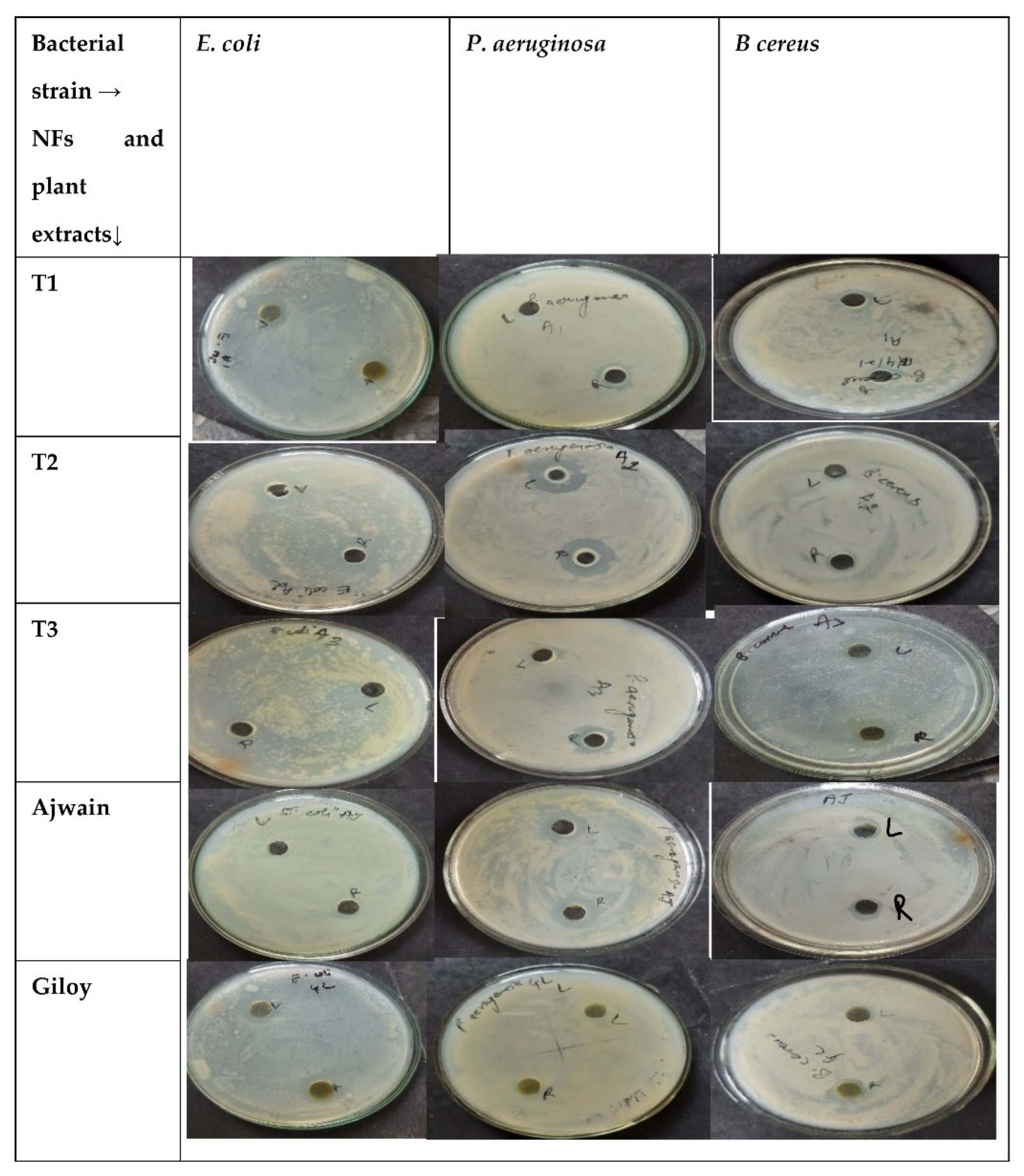 Applsci 12 08630 g004 550