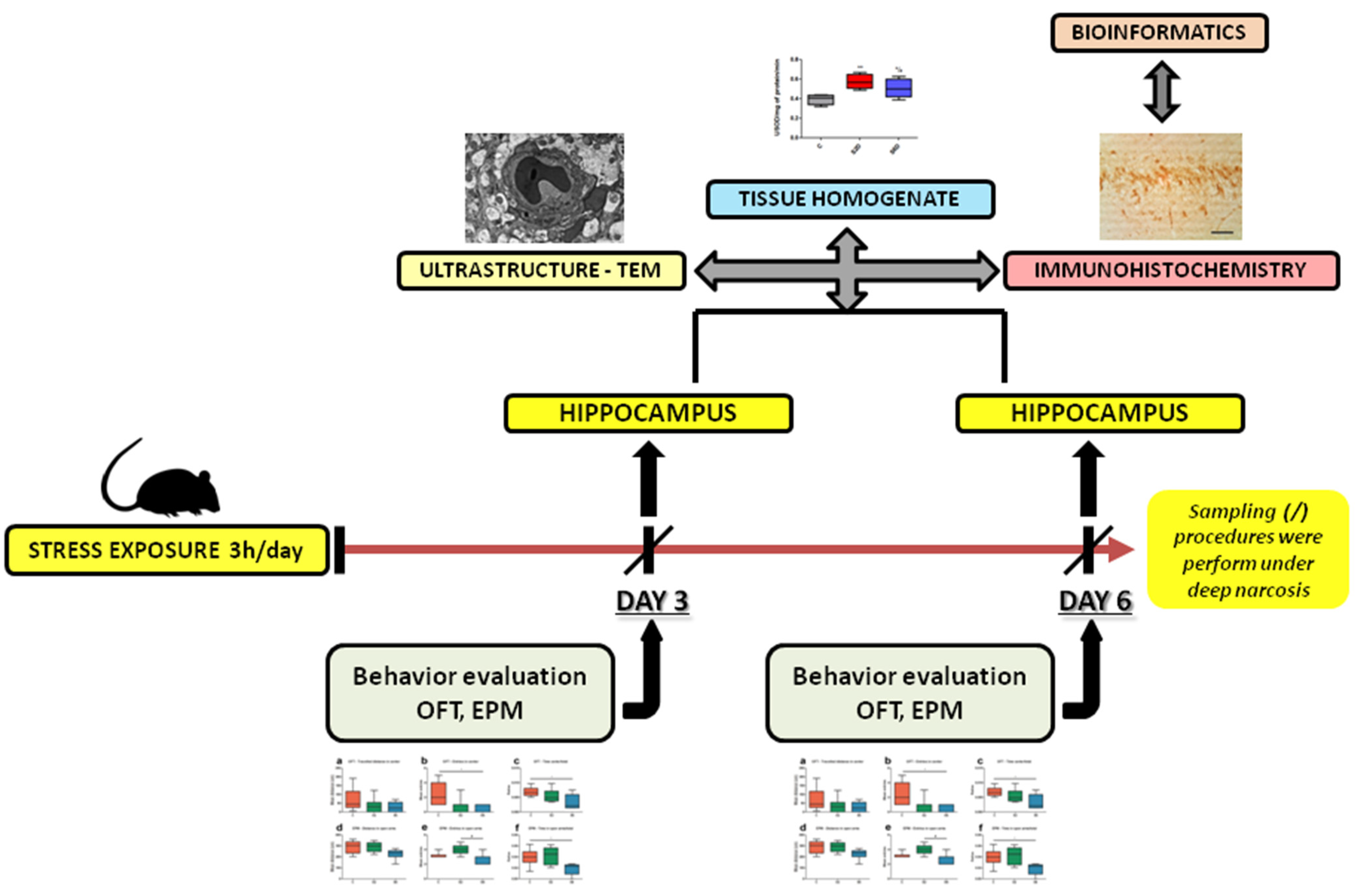 Applsci 12 08680 g001 Applsci 12 08680 g001