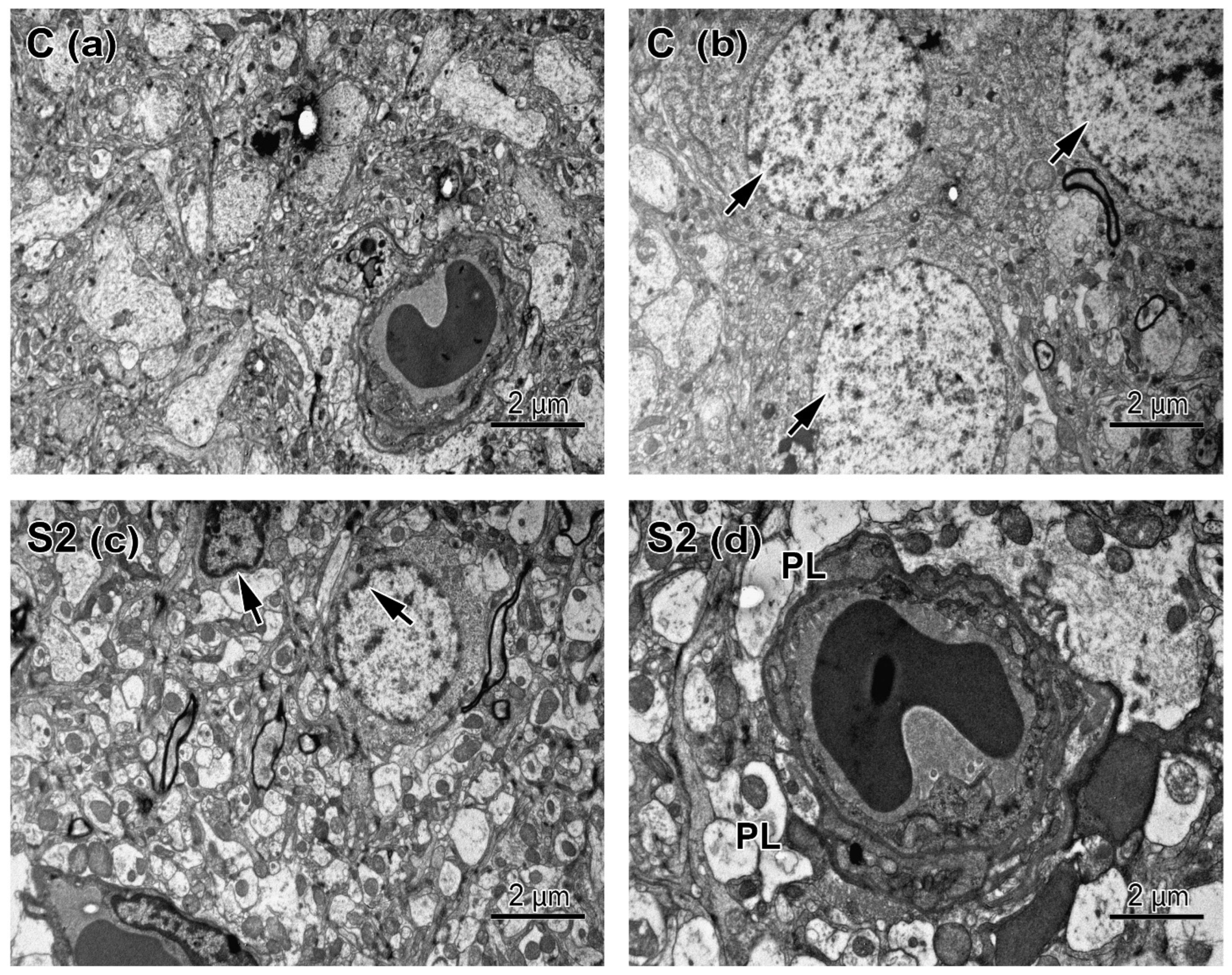 Applsci 12 08680 g007 Applsci 12 08680 g007