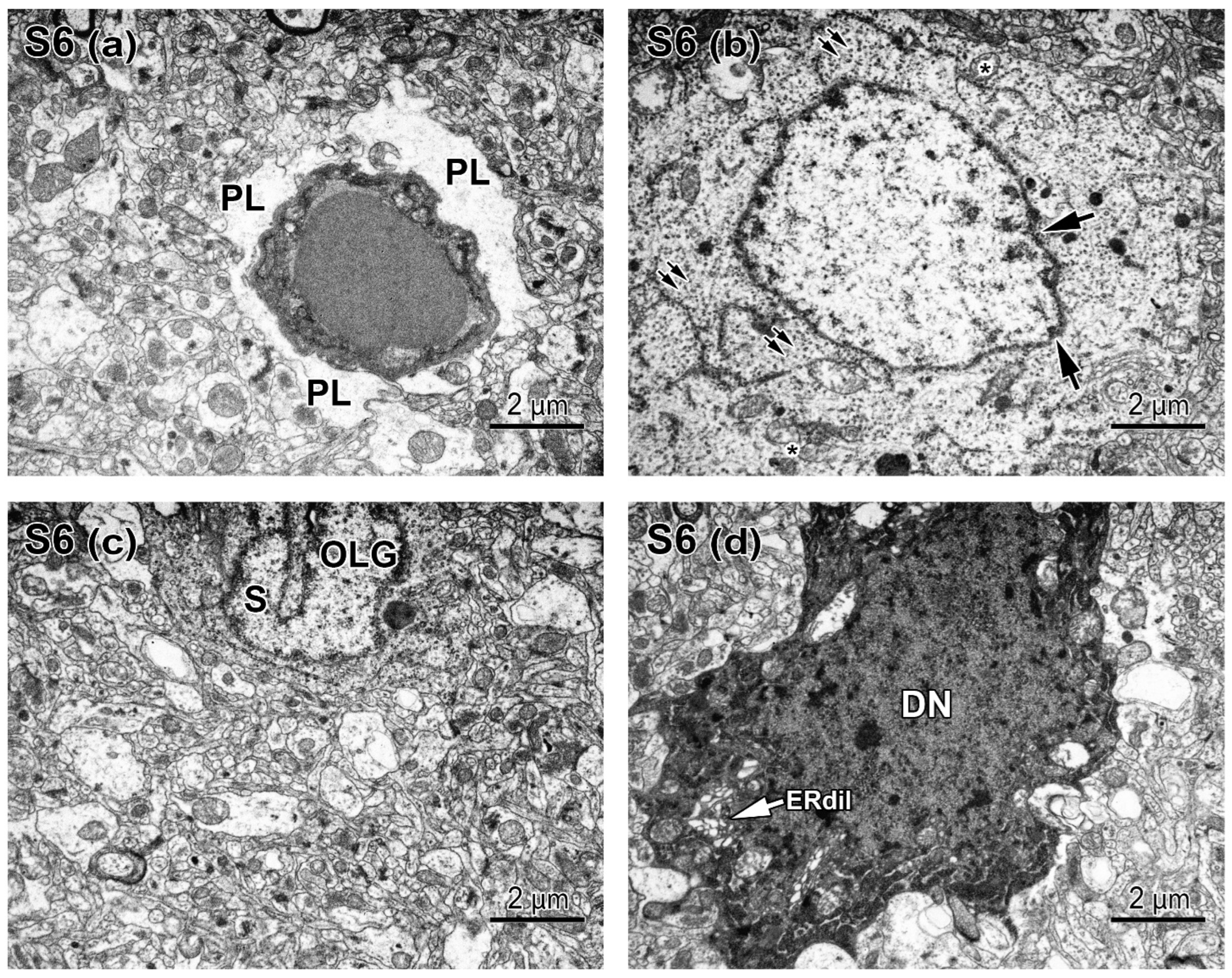 Applsci 12 08680 g008 Applsci 12 08680 g008