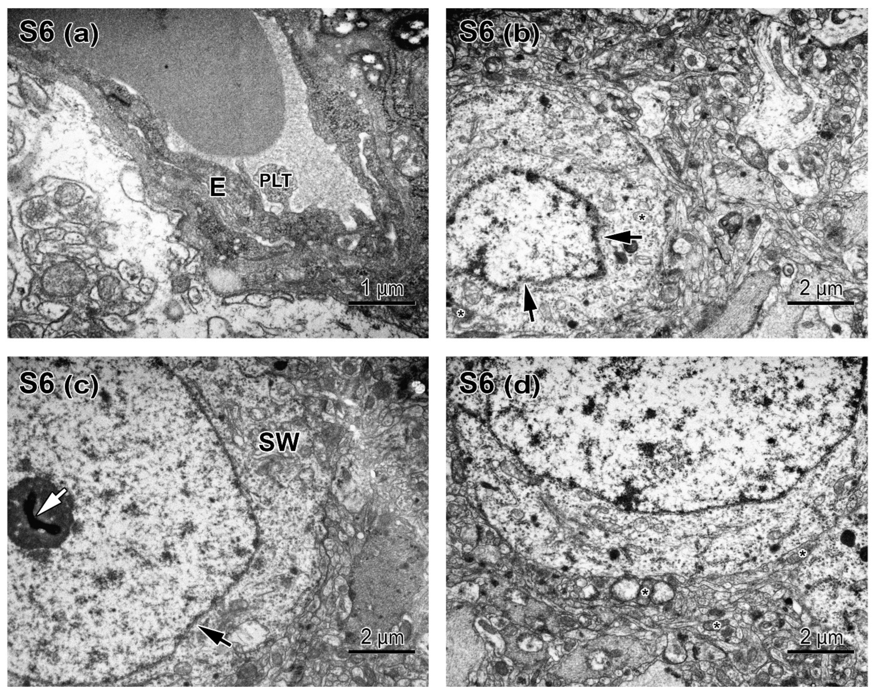 Applsci 12 08680 g009 Applsci 12 08680 g009