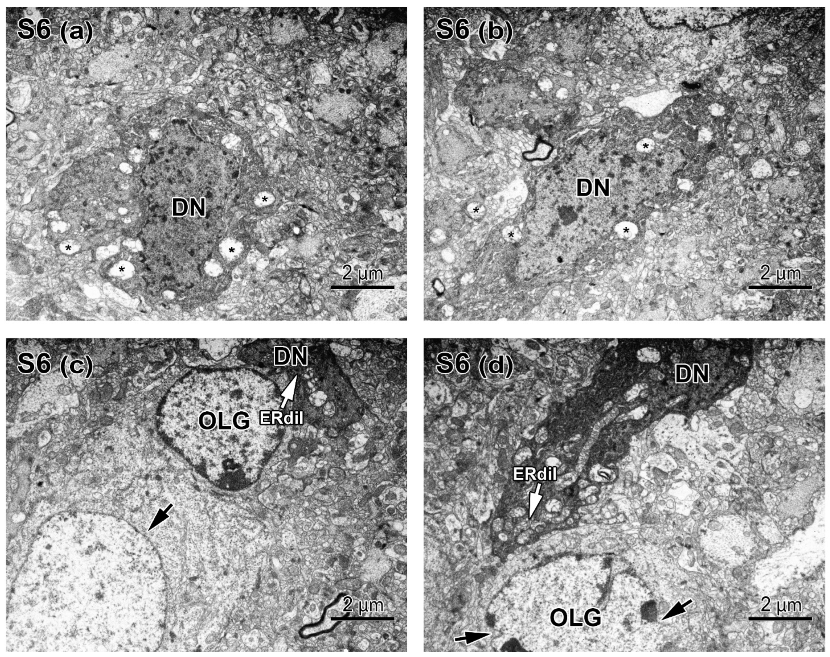 Applsci 12 08680 g010 Applsci 12 08680 g010