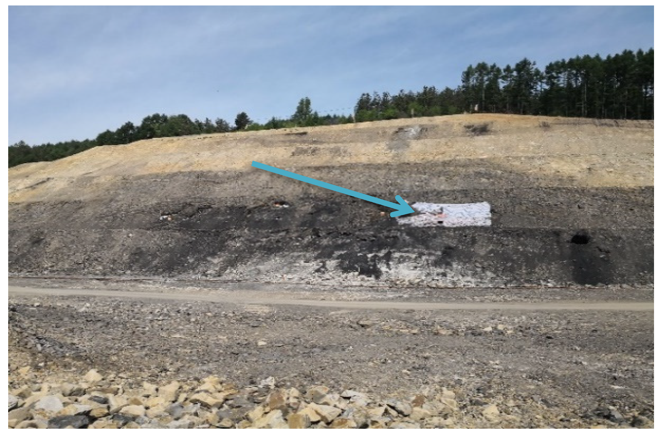 Applsci 12 08698 g009 550