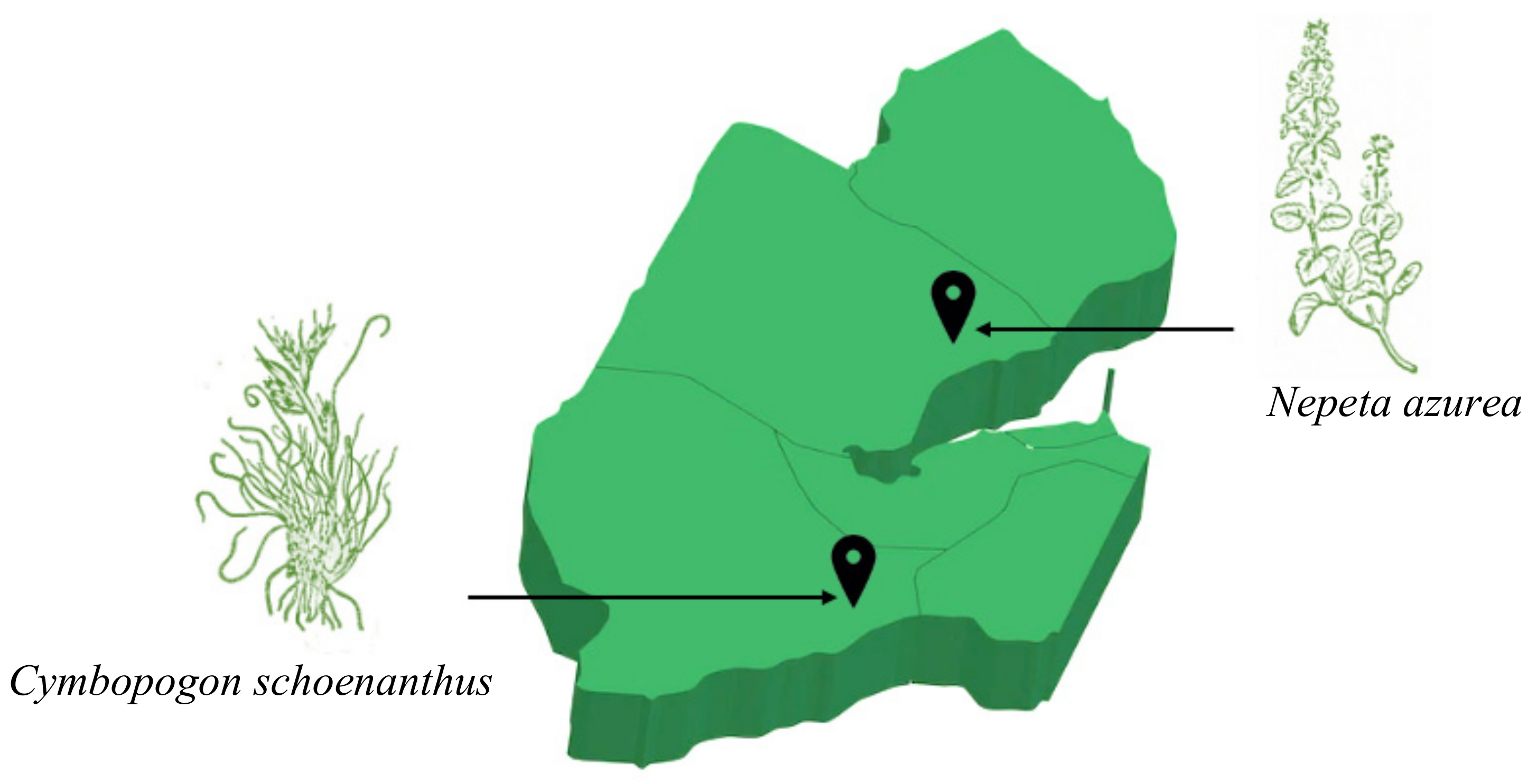 Applsci 12 08699 g001 550