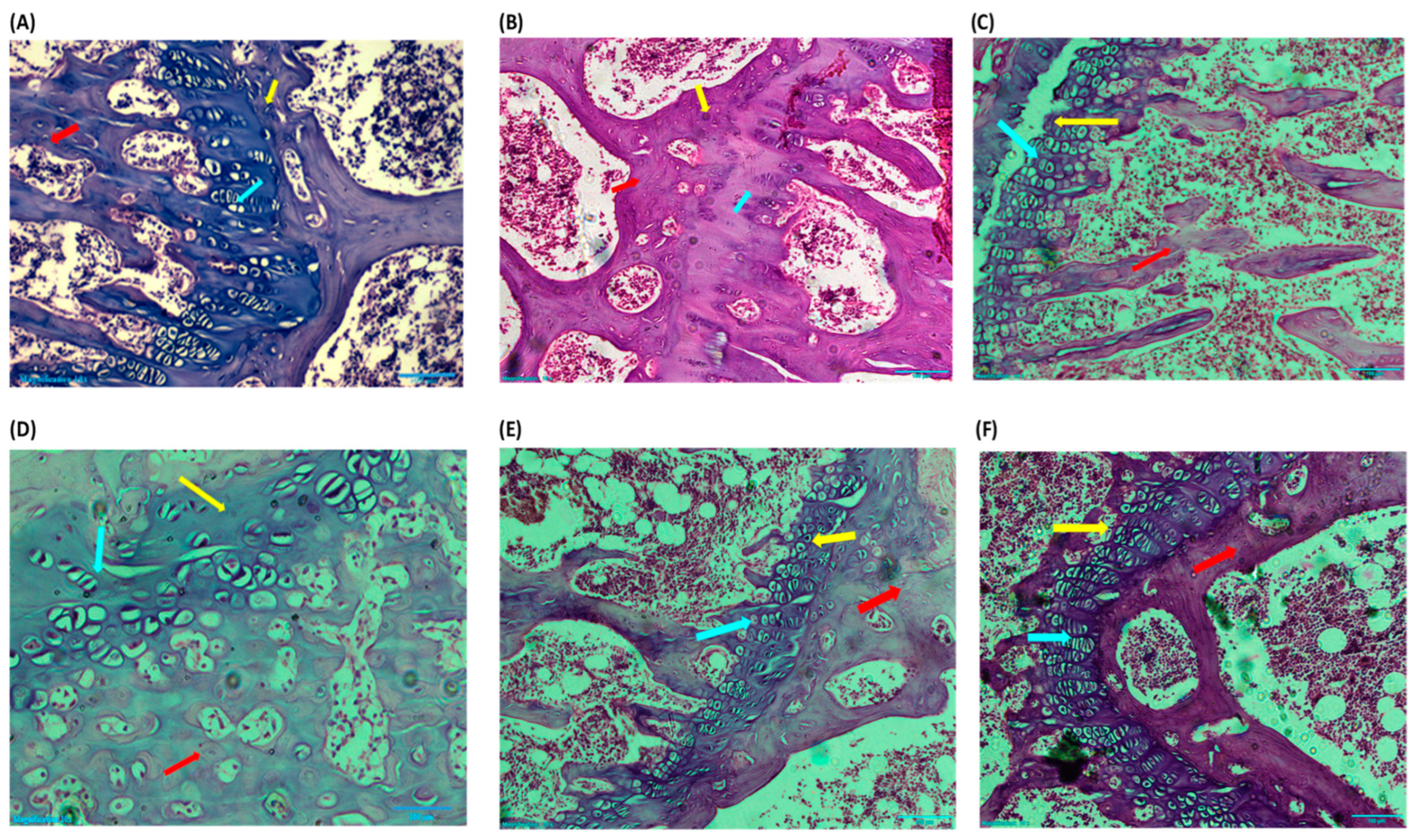 Applsci 12 08728 g003 Applsci 12 08728 g003