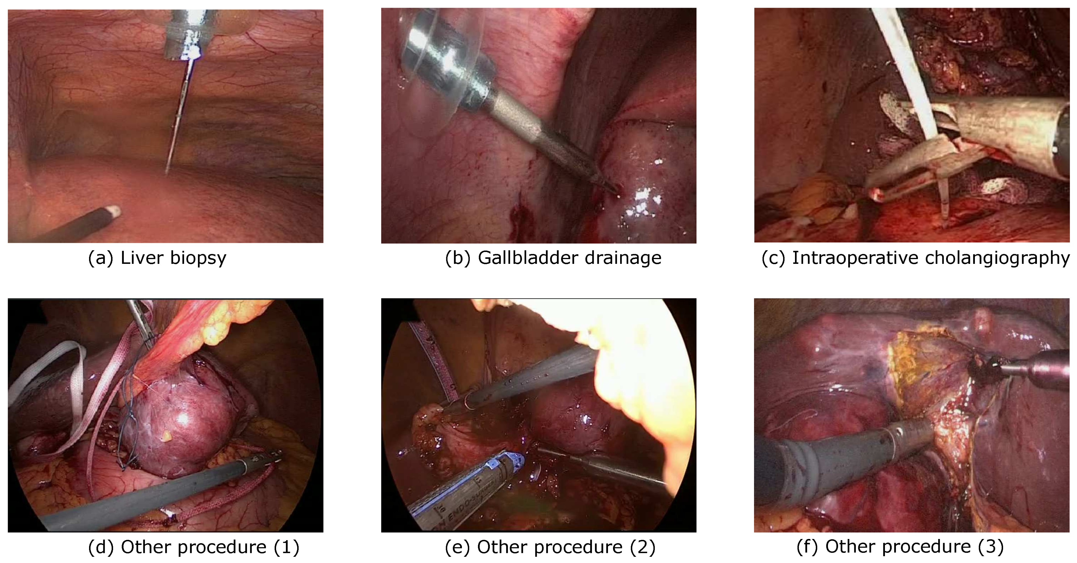 Applsci 12 08746 g002