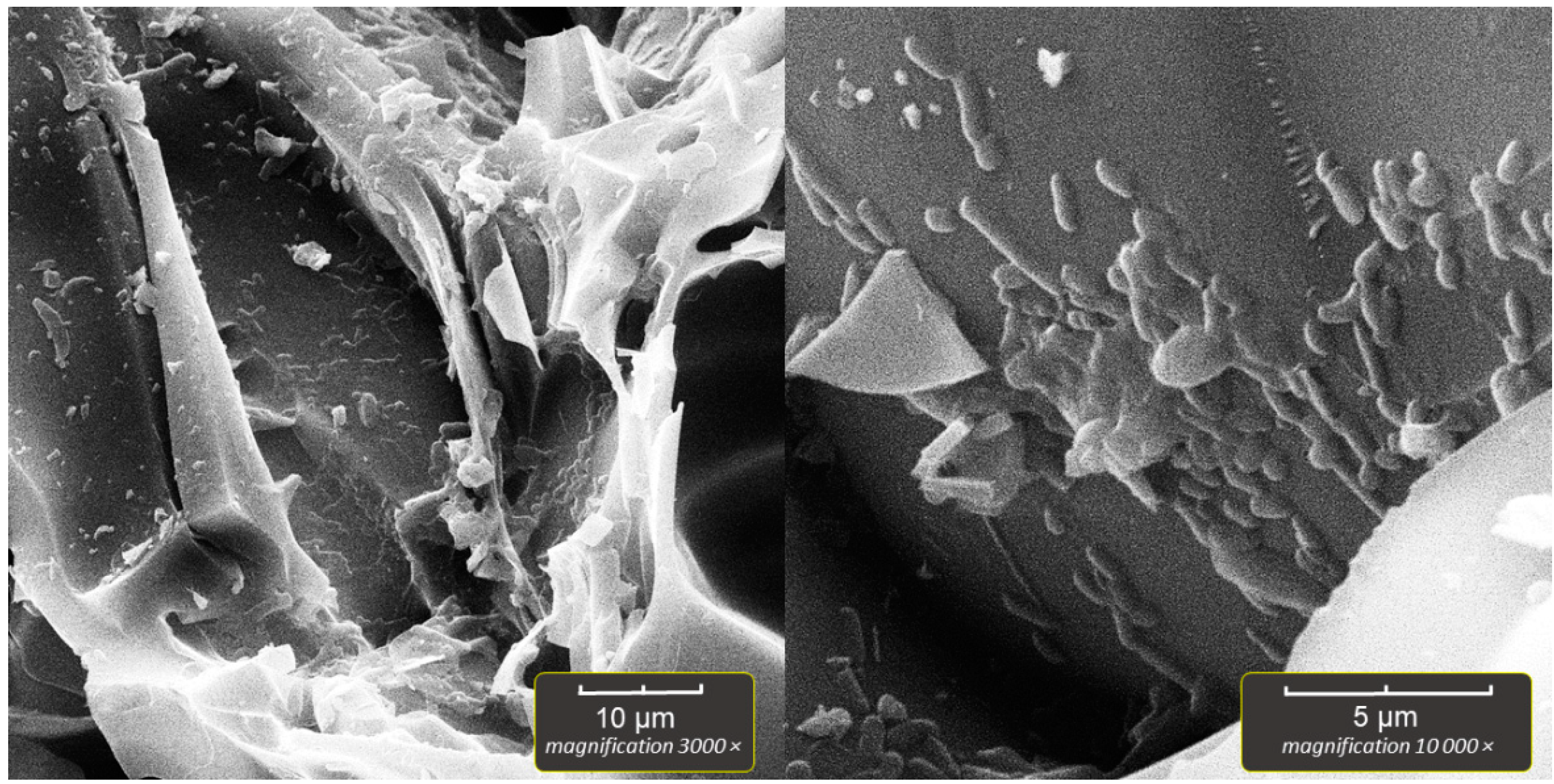 Applsci 12 08808 g005 550