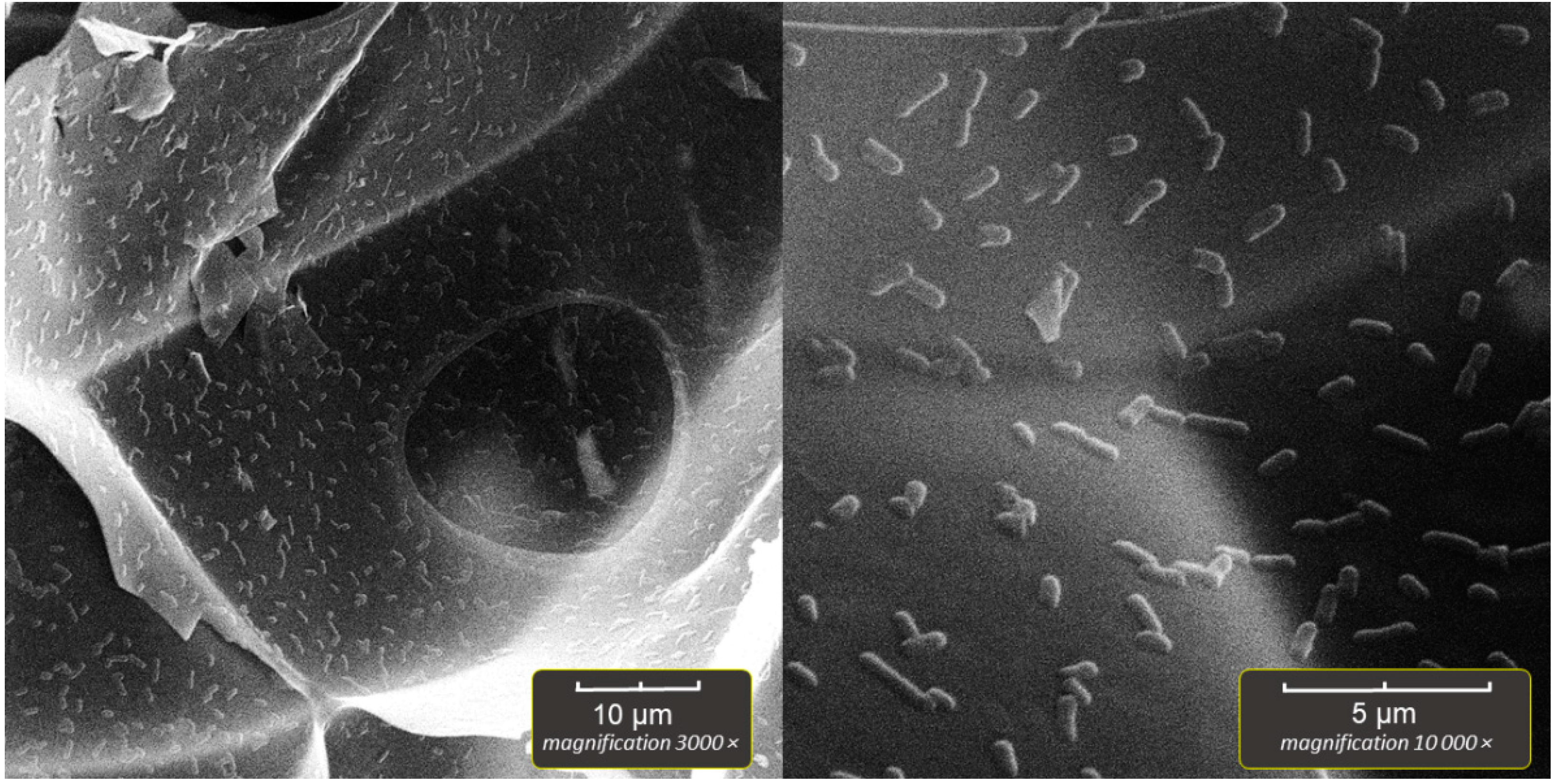 Applsci 12 08808 g006 550