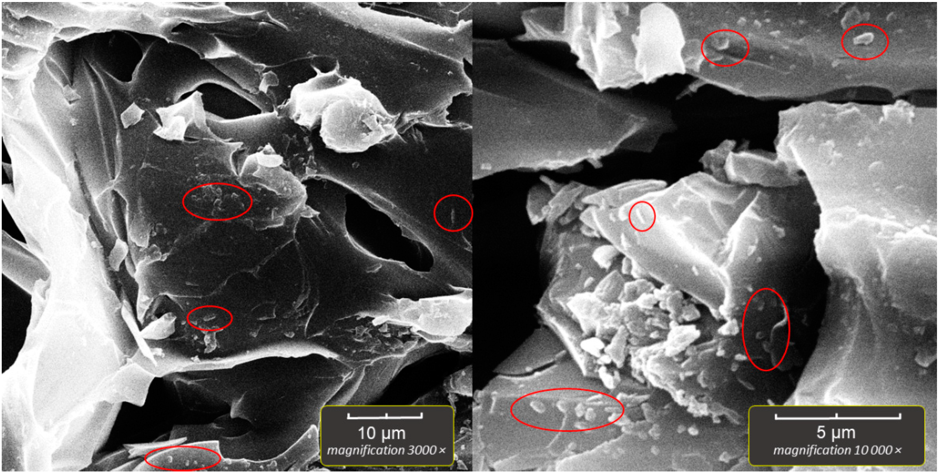 Applsci 12 08808 g007 550